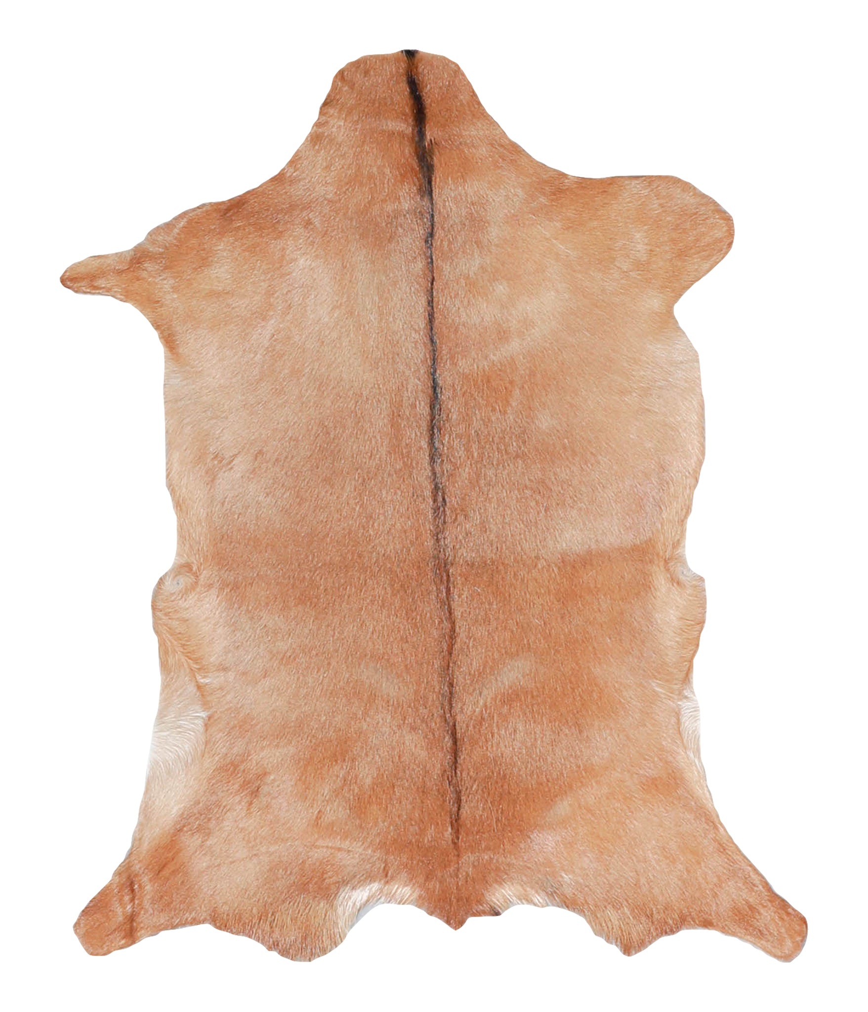 Goatskin #A28147