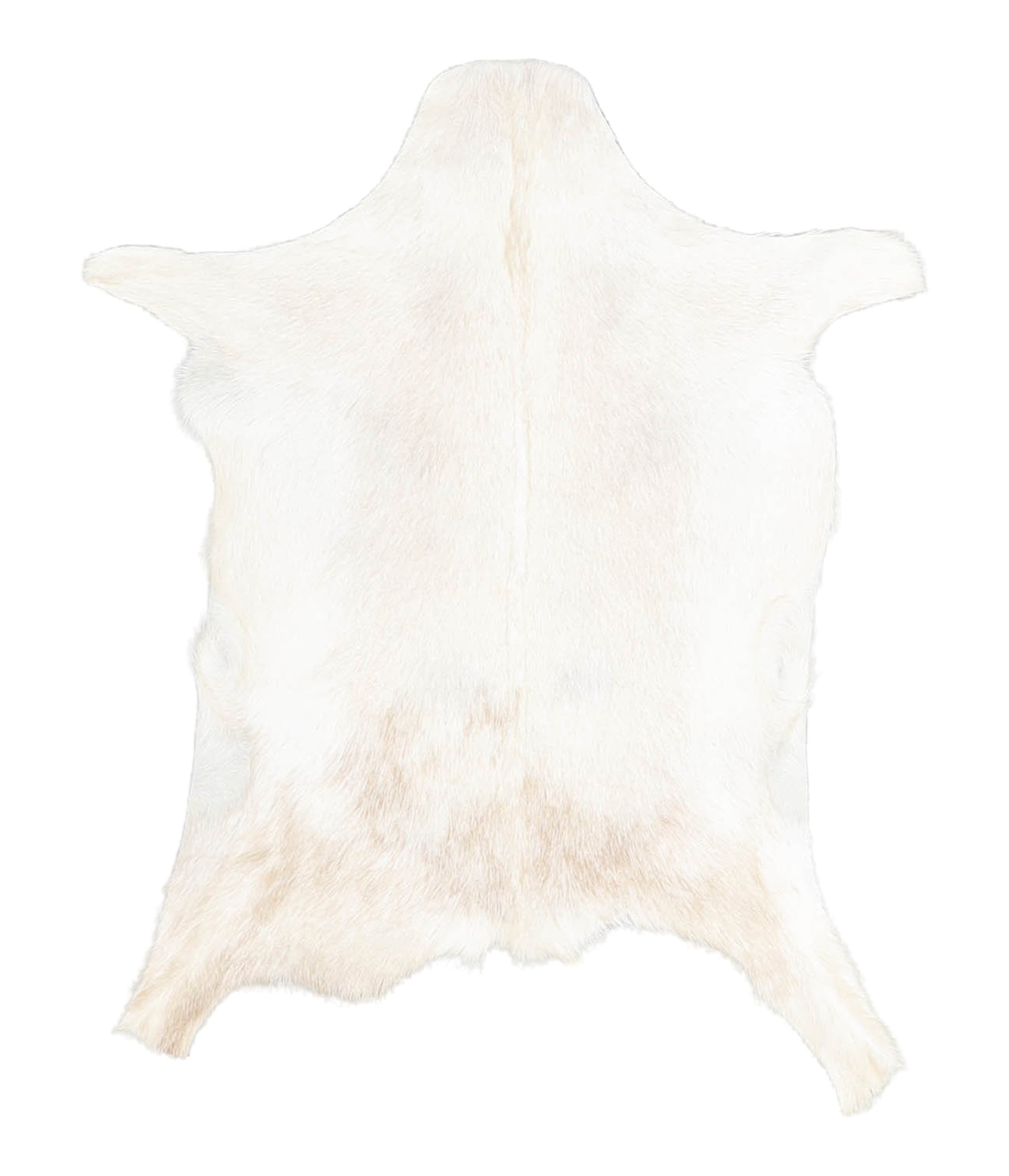 Goatskin #A28148