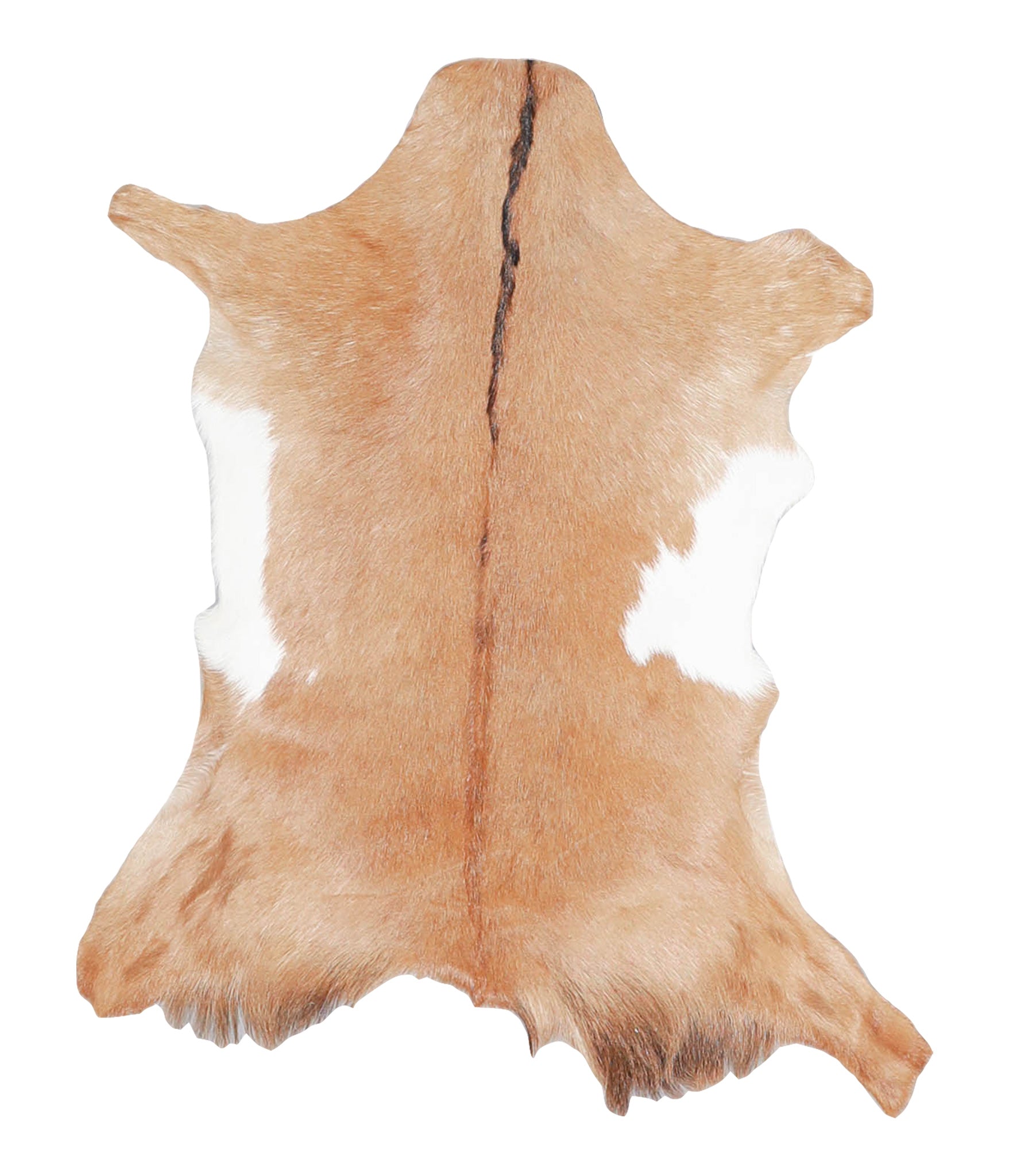 Goatskin #A28149