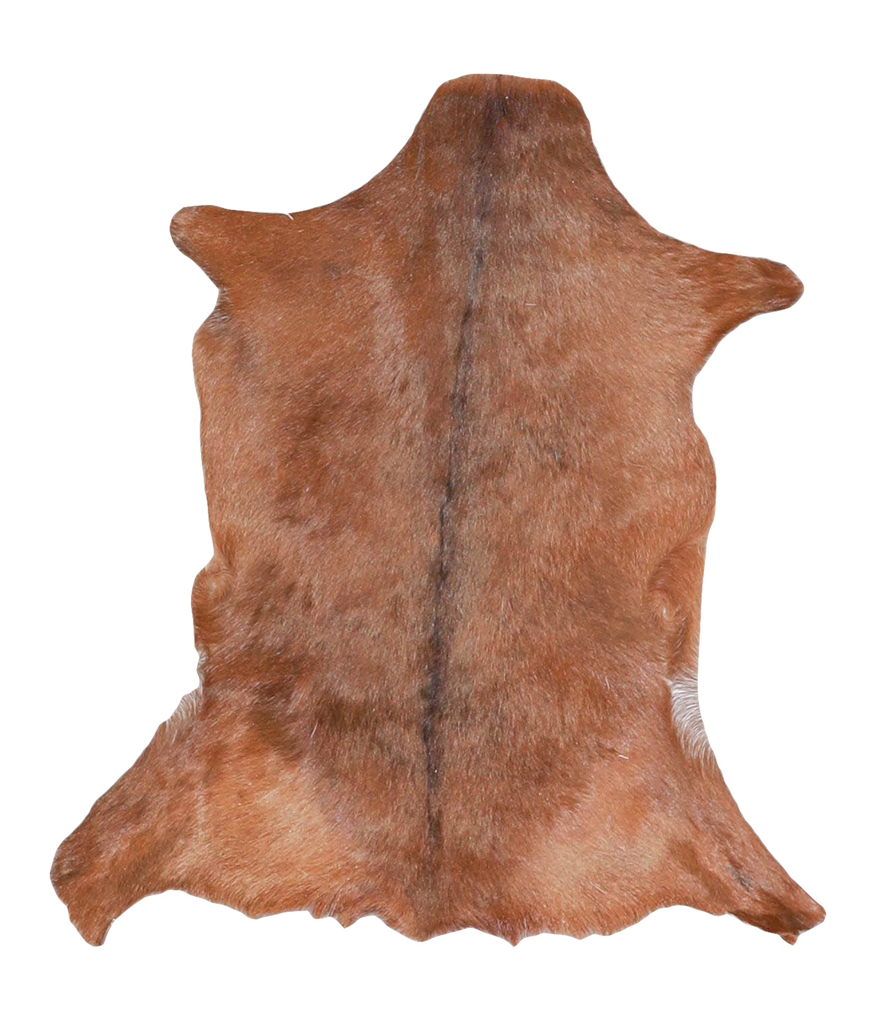 Goatskin #A28151