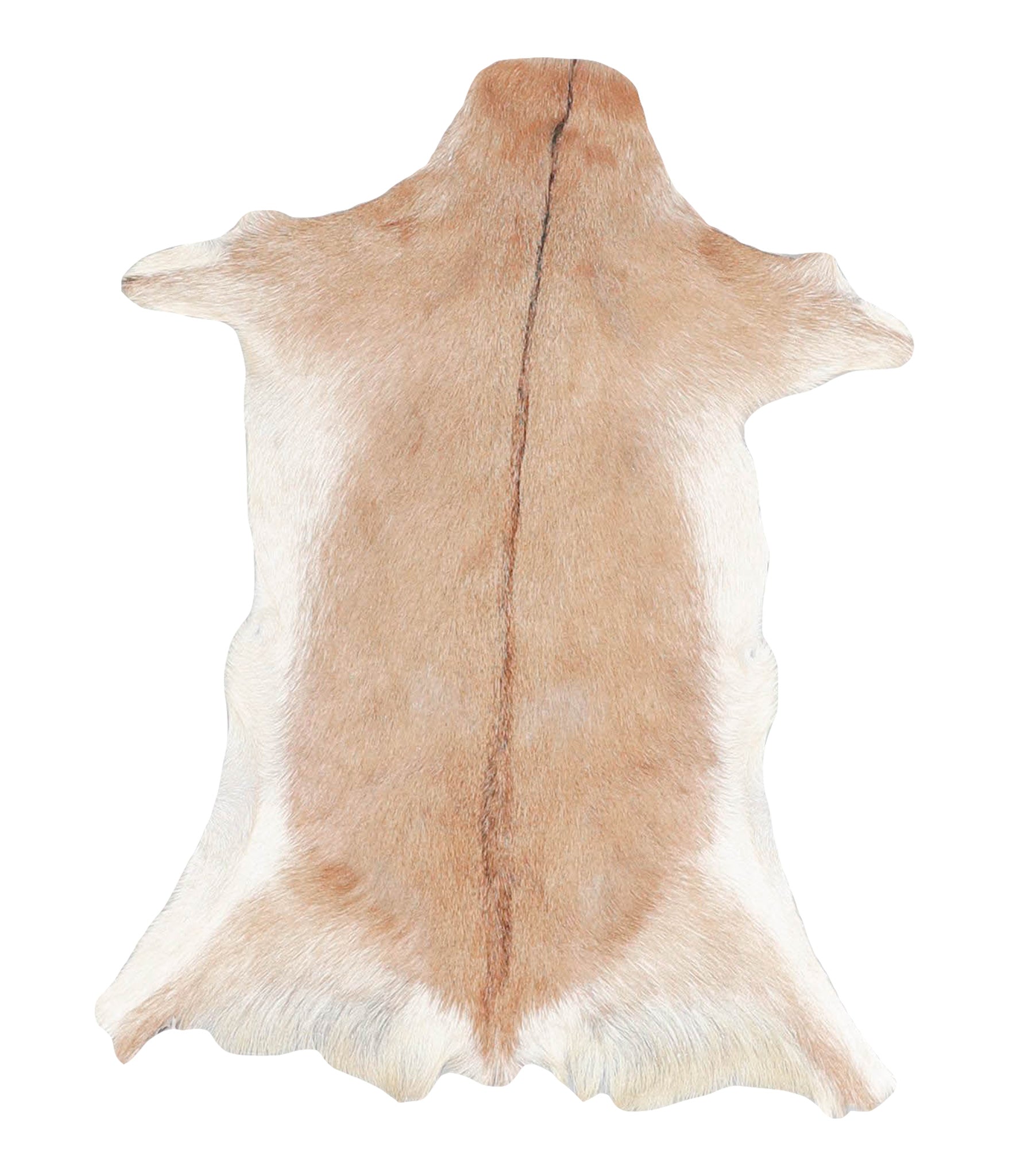 Goatskin #A28152