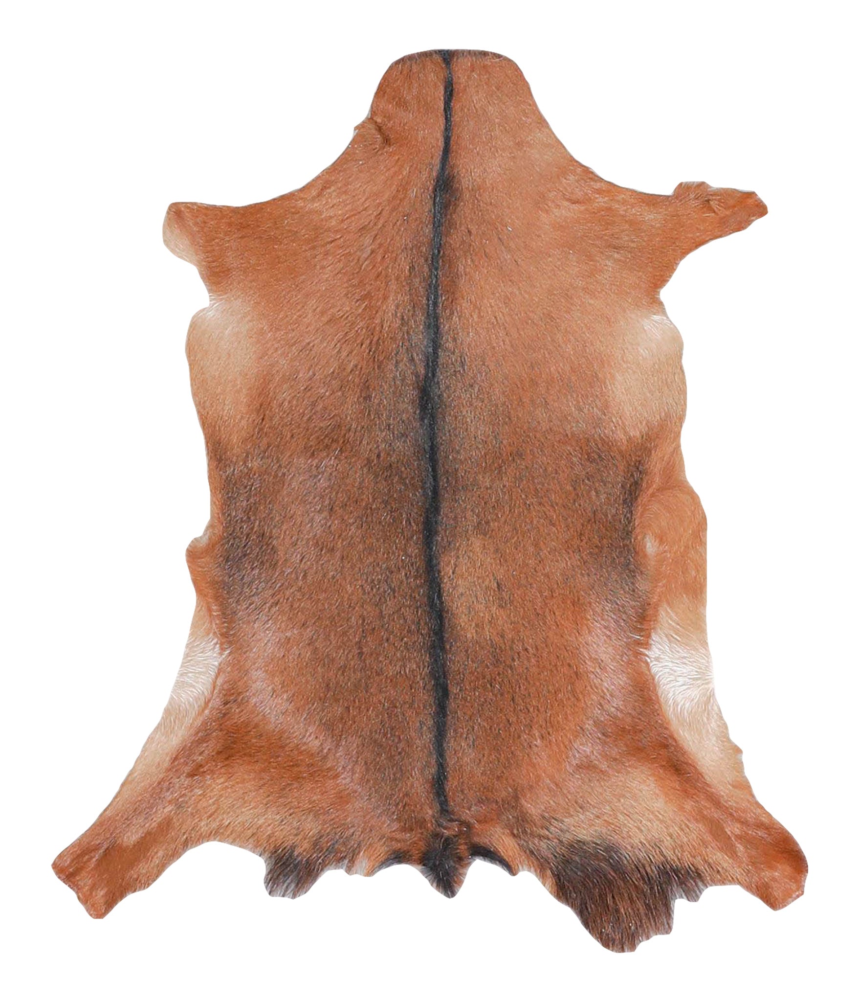 Goatskin #A28154