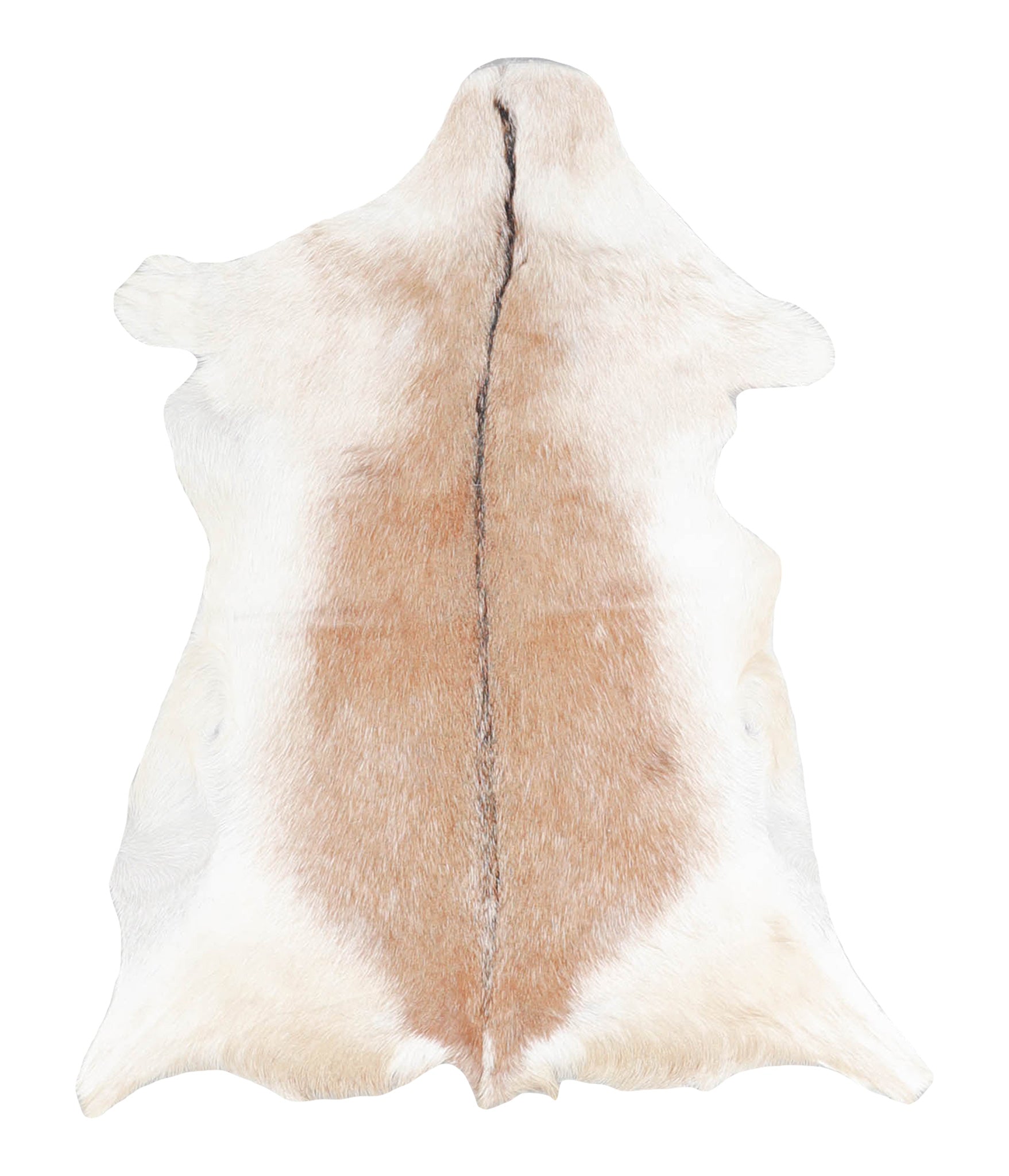 Goatskin #A28156