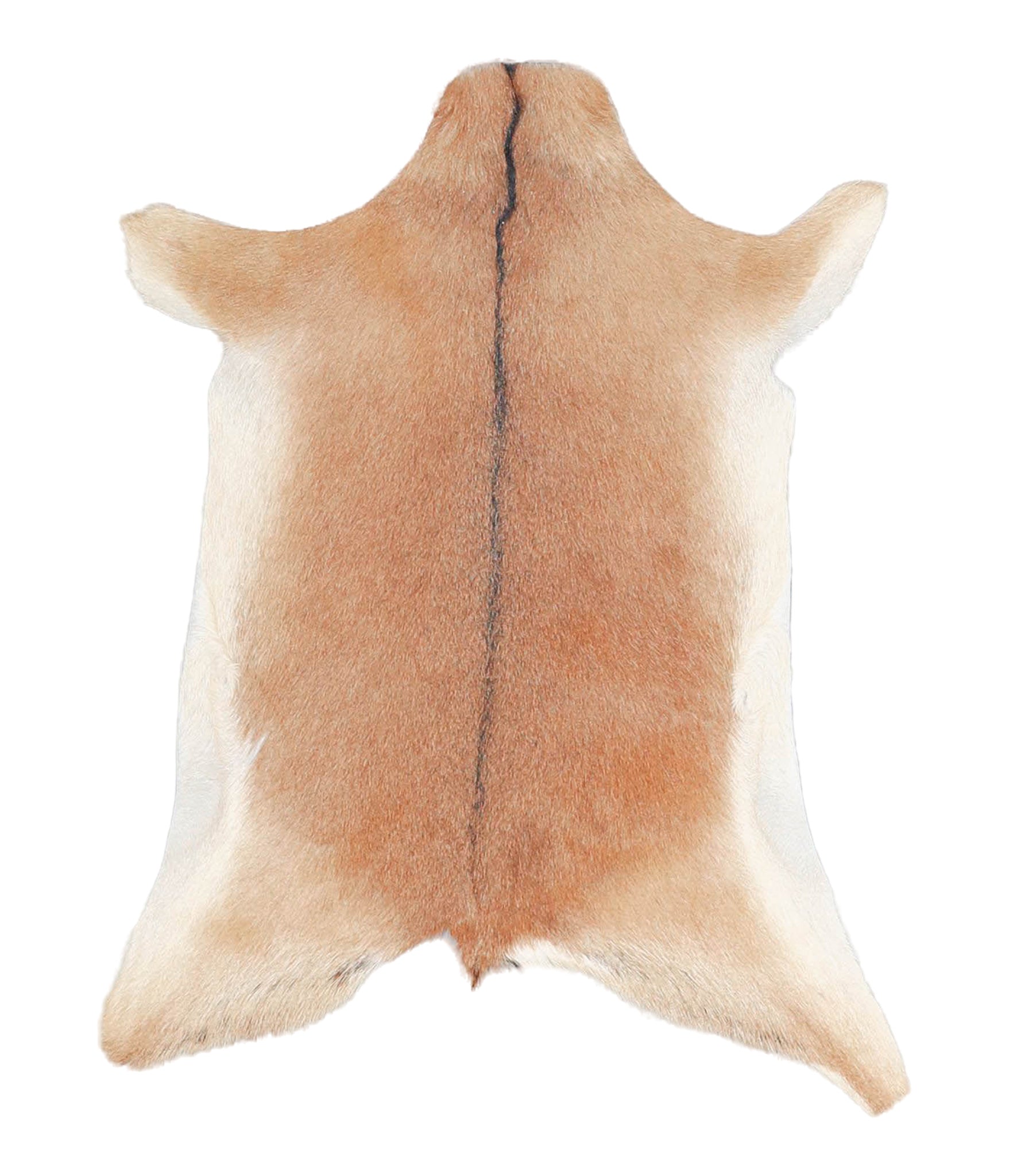 Goatskin #A28159