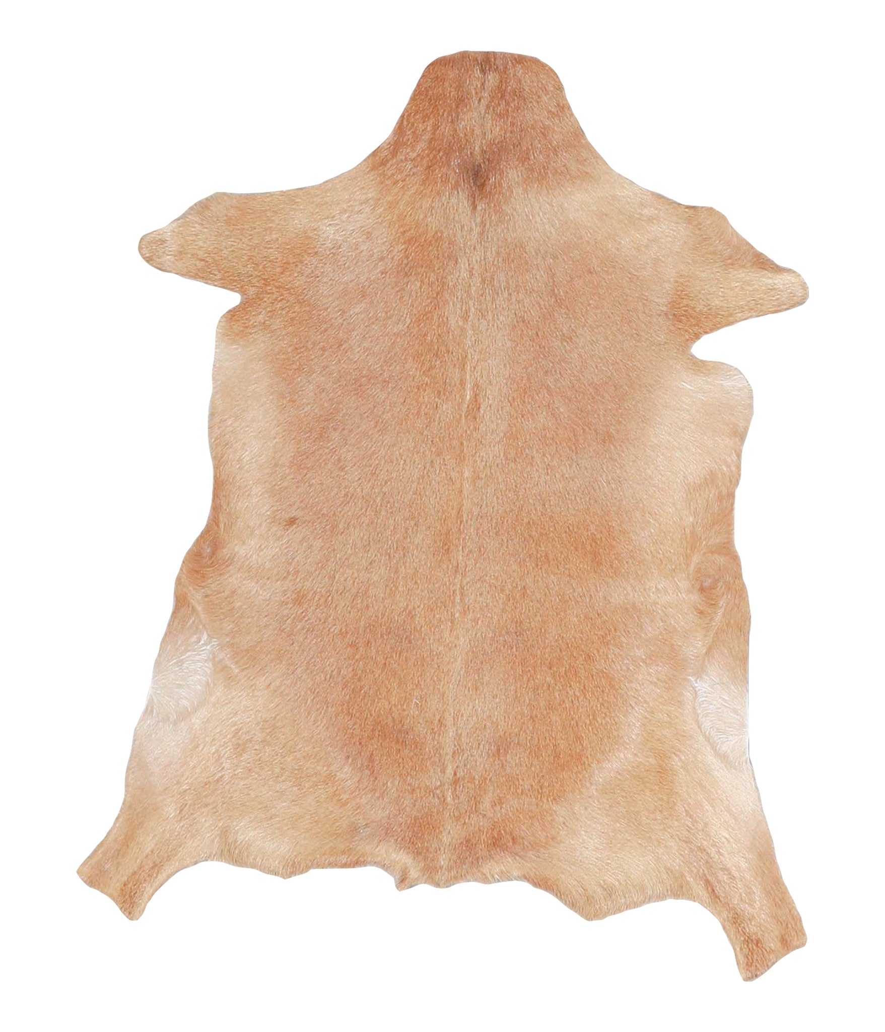 Goatskin #A28160