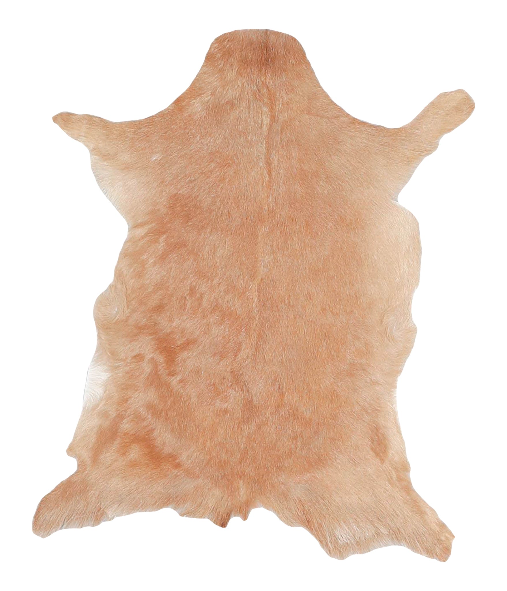 Goatskin #A28163