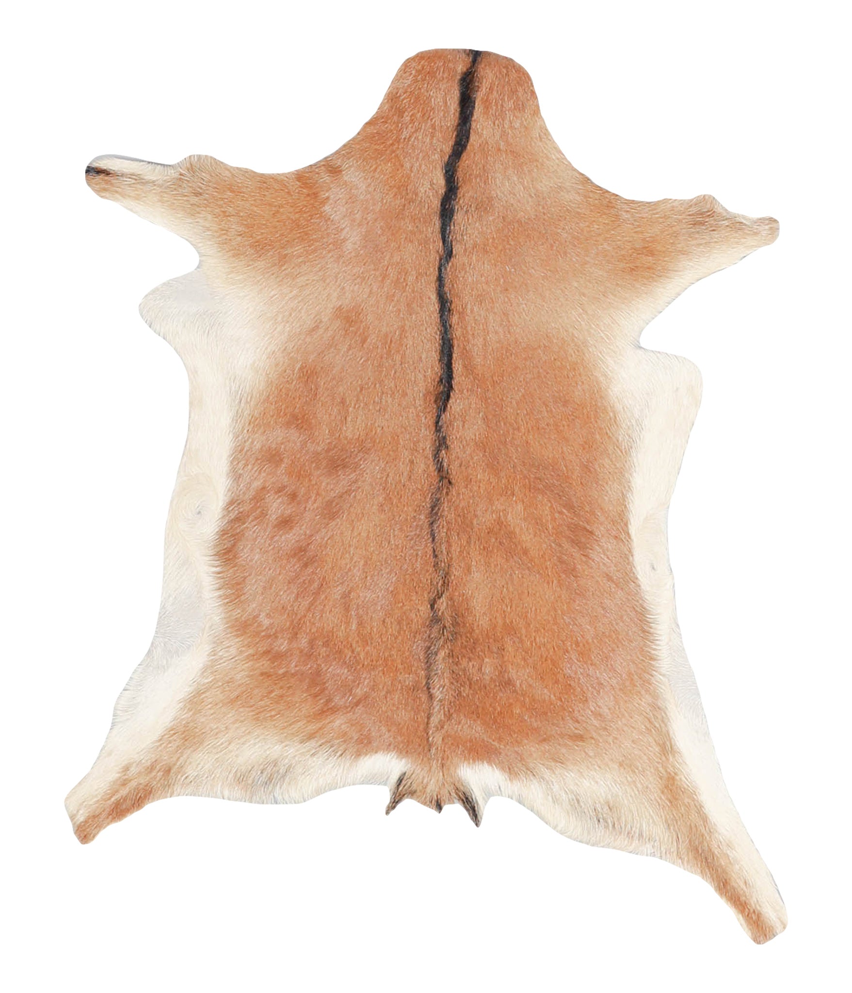 Goatskin #A28164