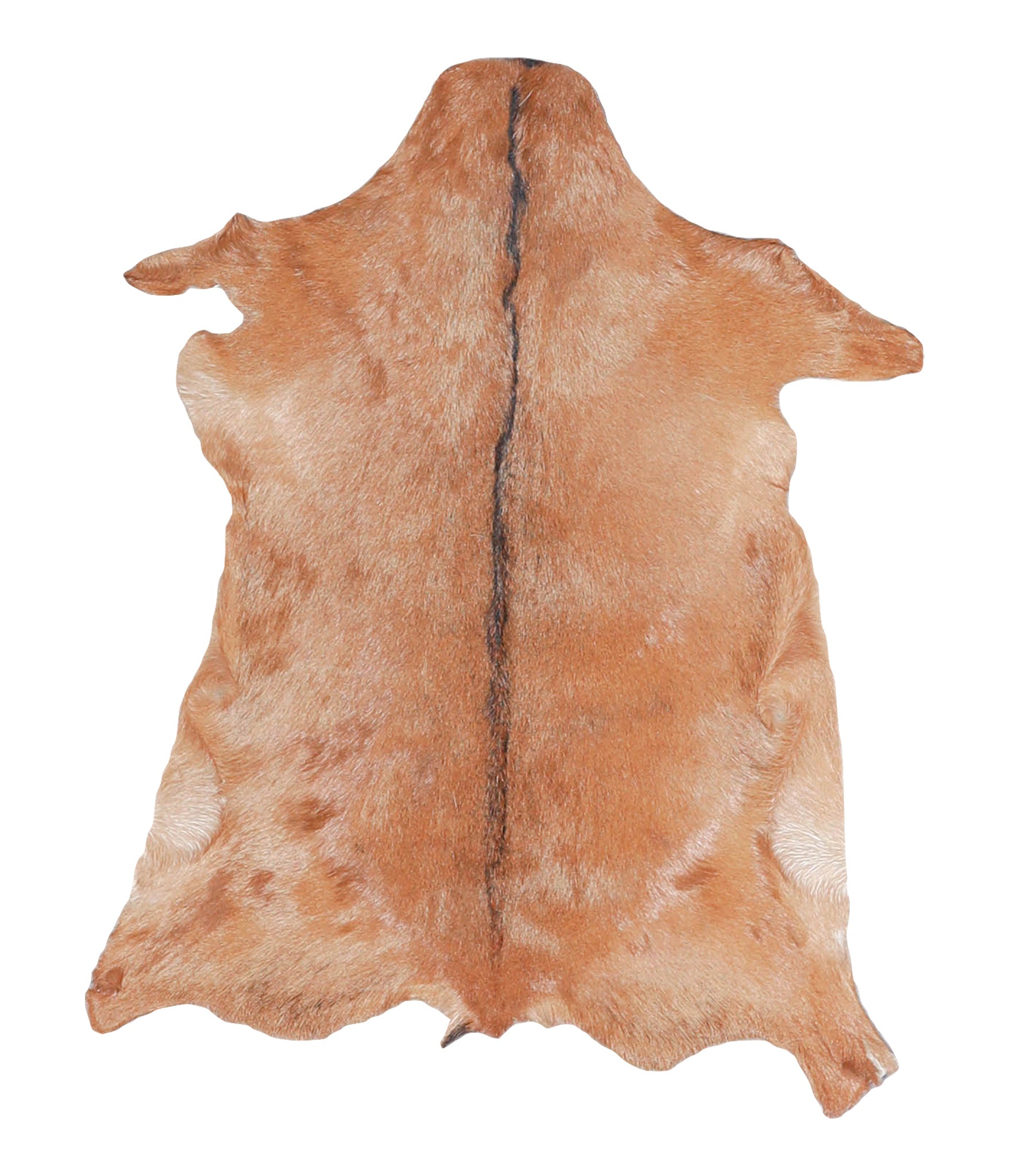 Goatskin #A28165