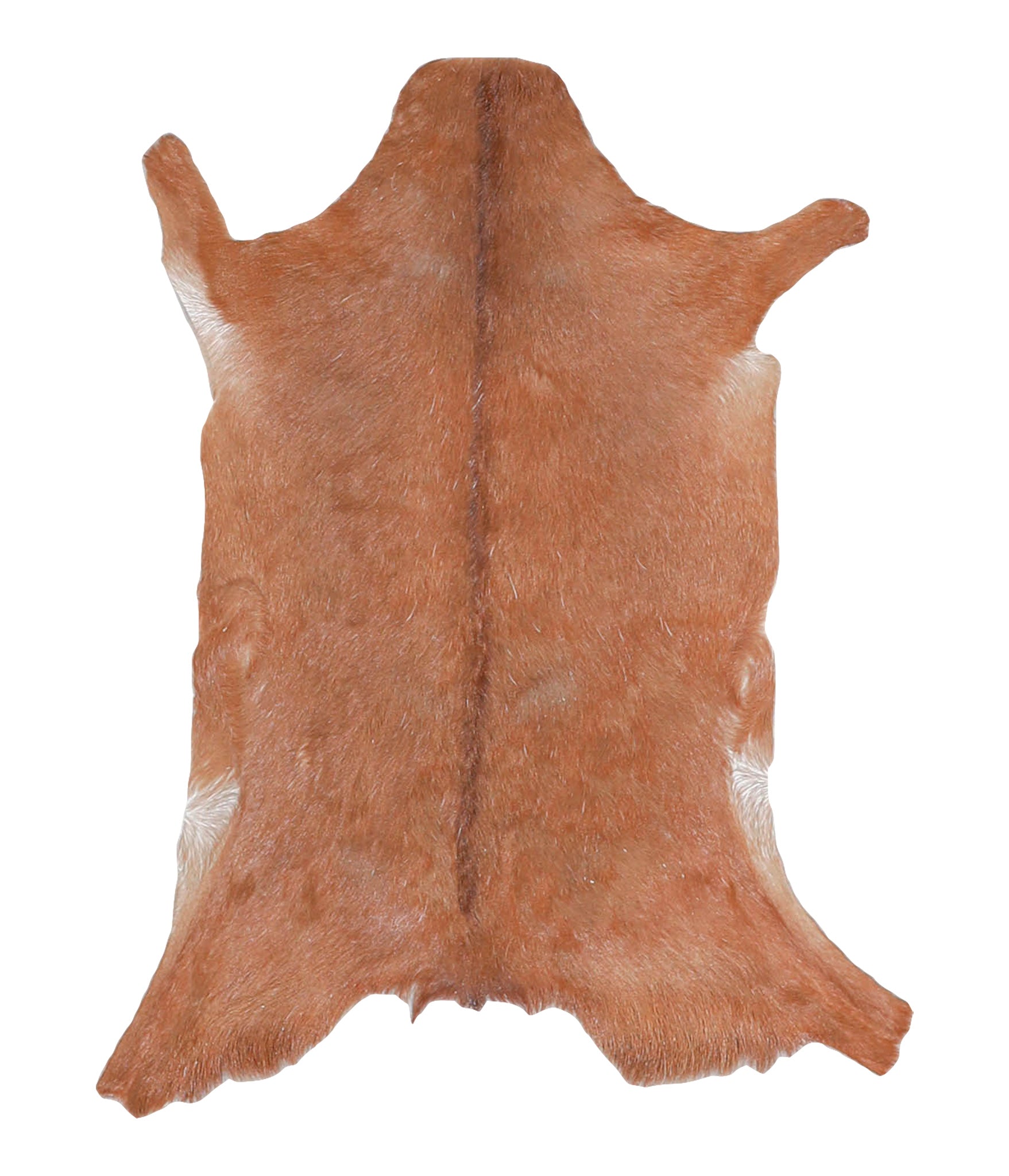 Goatskin #A28166