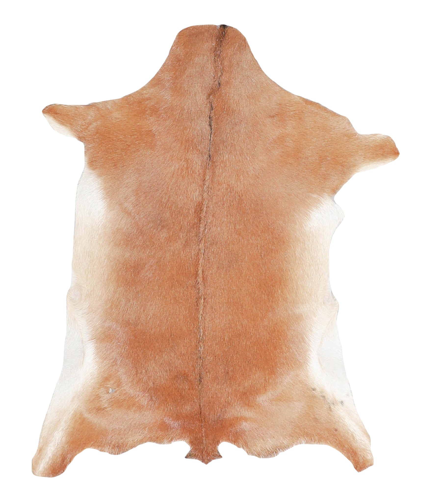 Goatskin #A28168