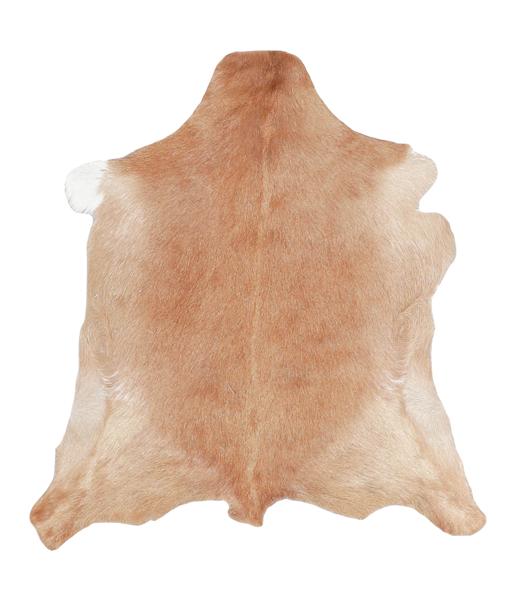 Goatskin #A28169