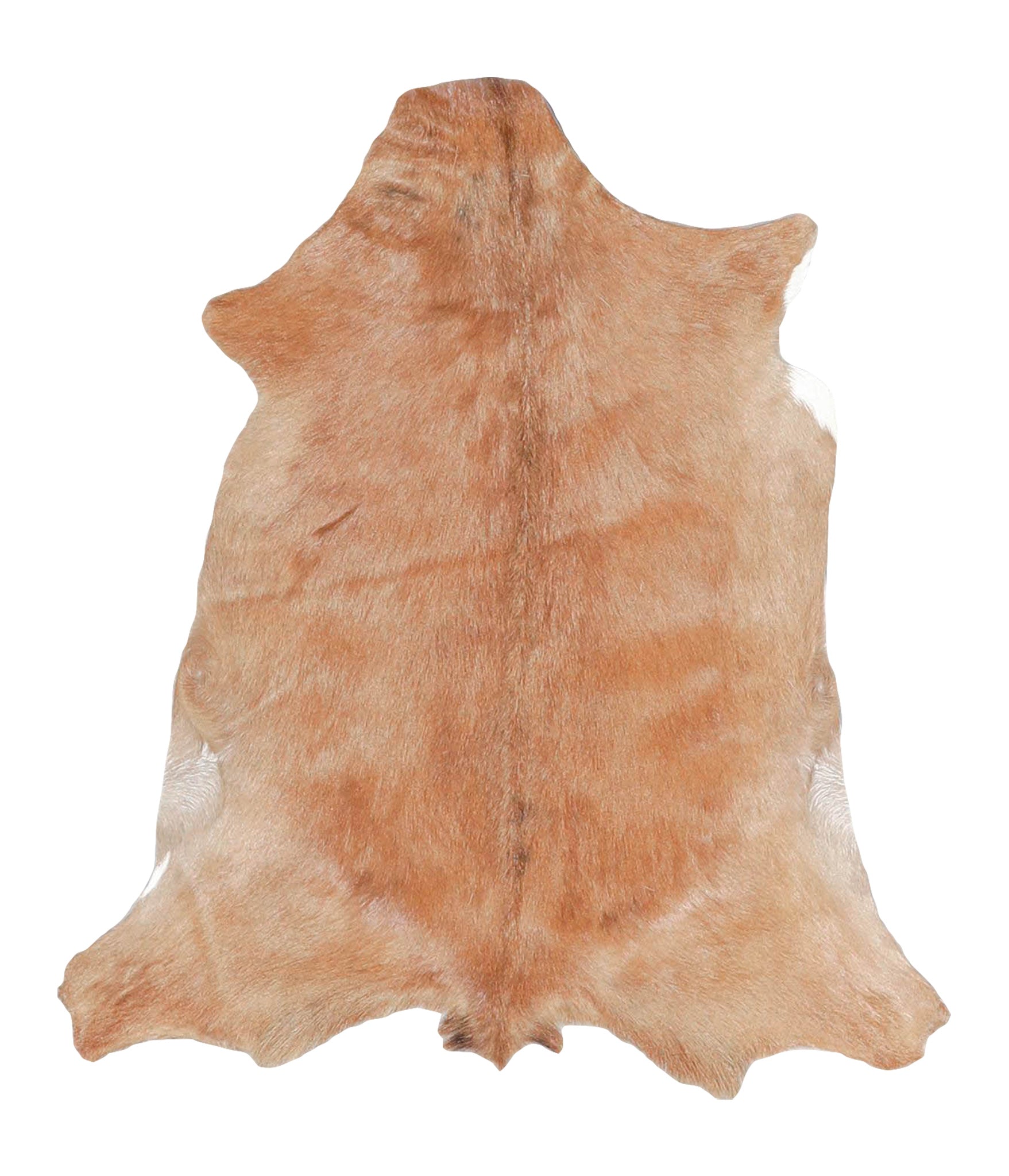 Goatskin #A28171