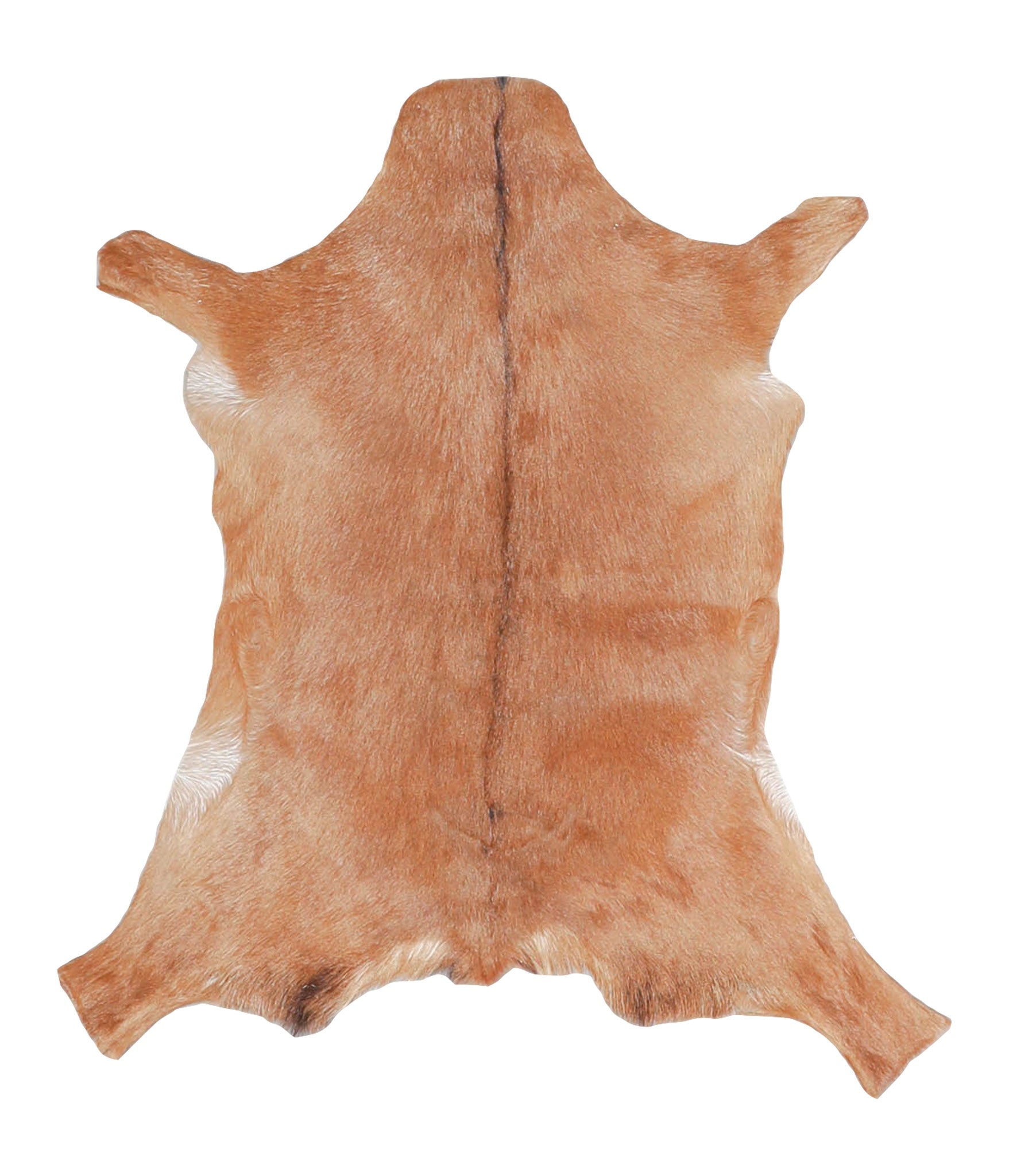 Goatskin #A28172