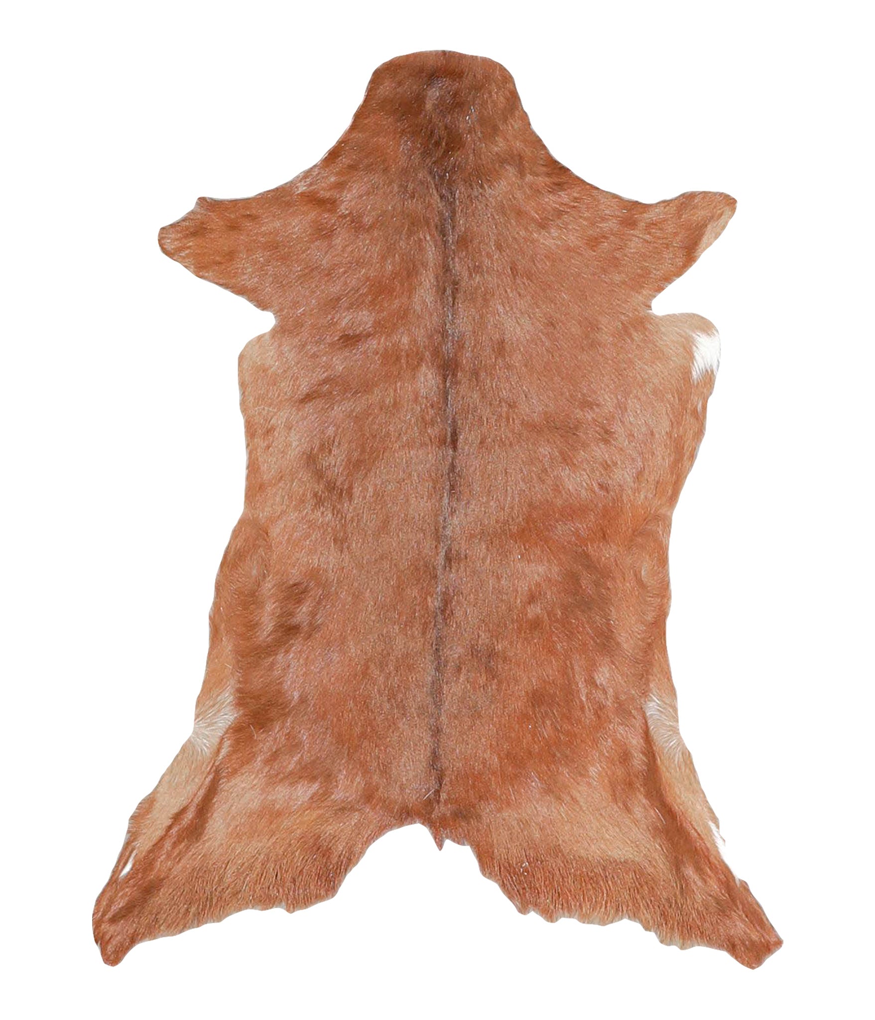 Goatskin #A28174