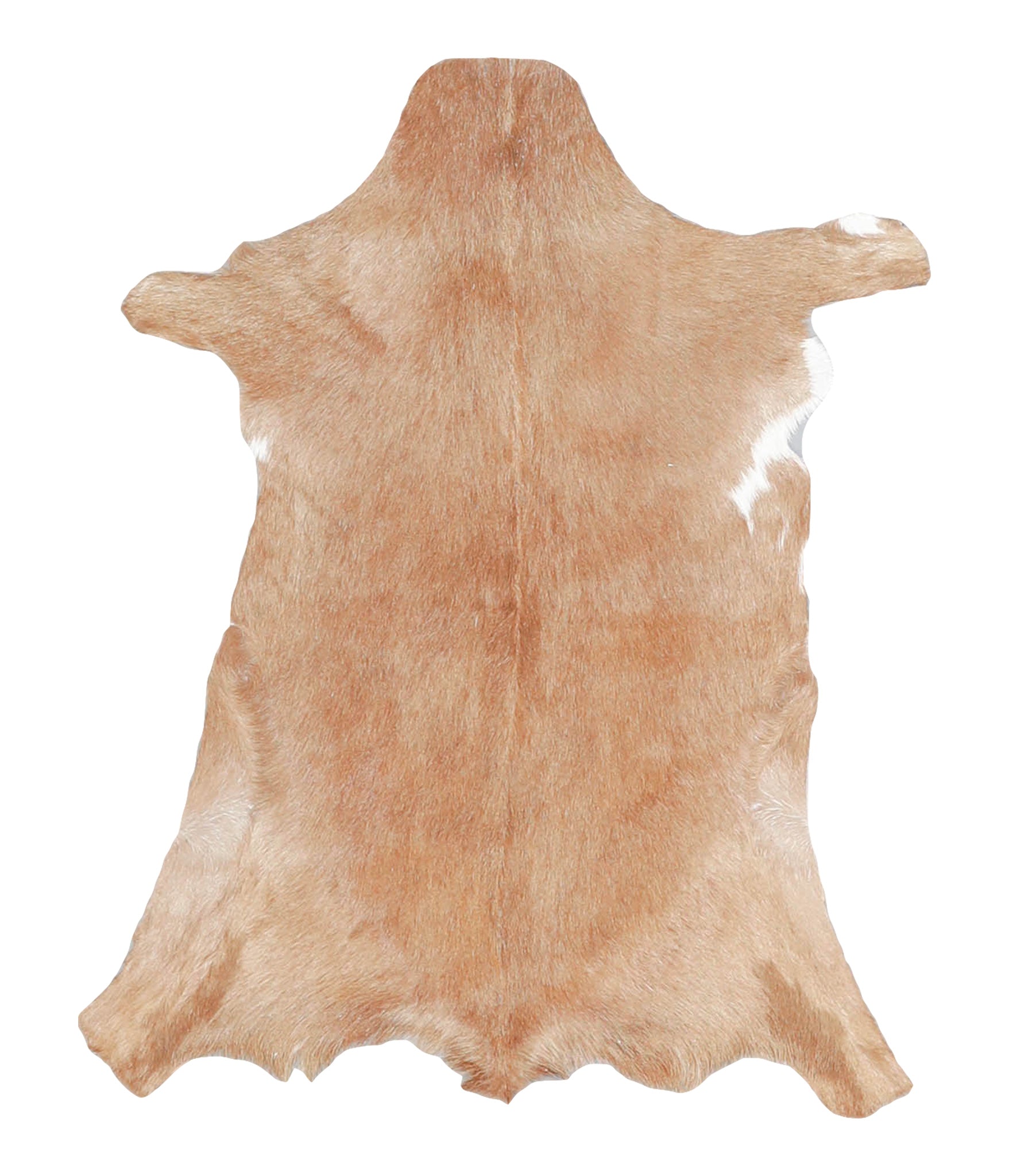 Goatskin #A28176