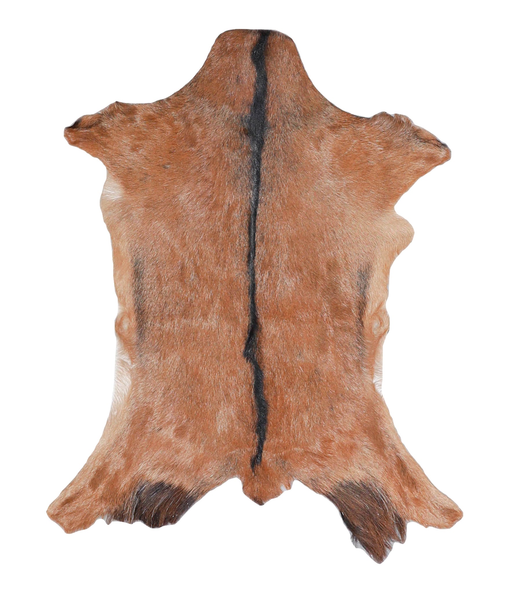 Goatskin #A28178