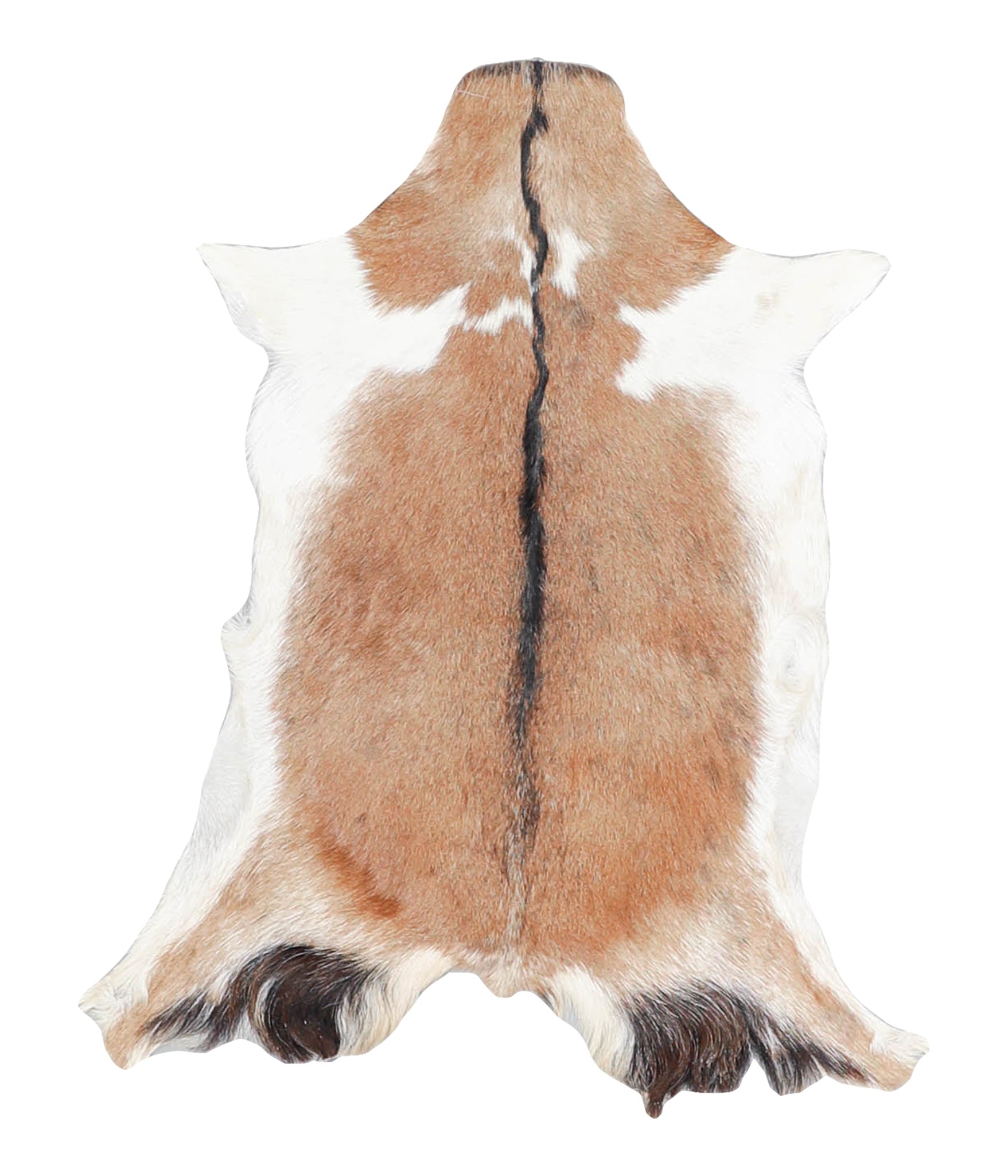 Goatskin #A28179