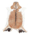 Goatskin Approx 2'3 #A28179 by Hudson Hides