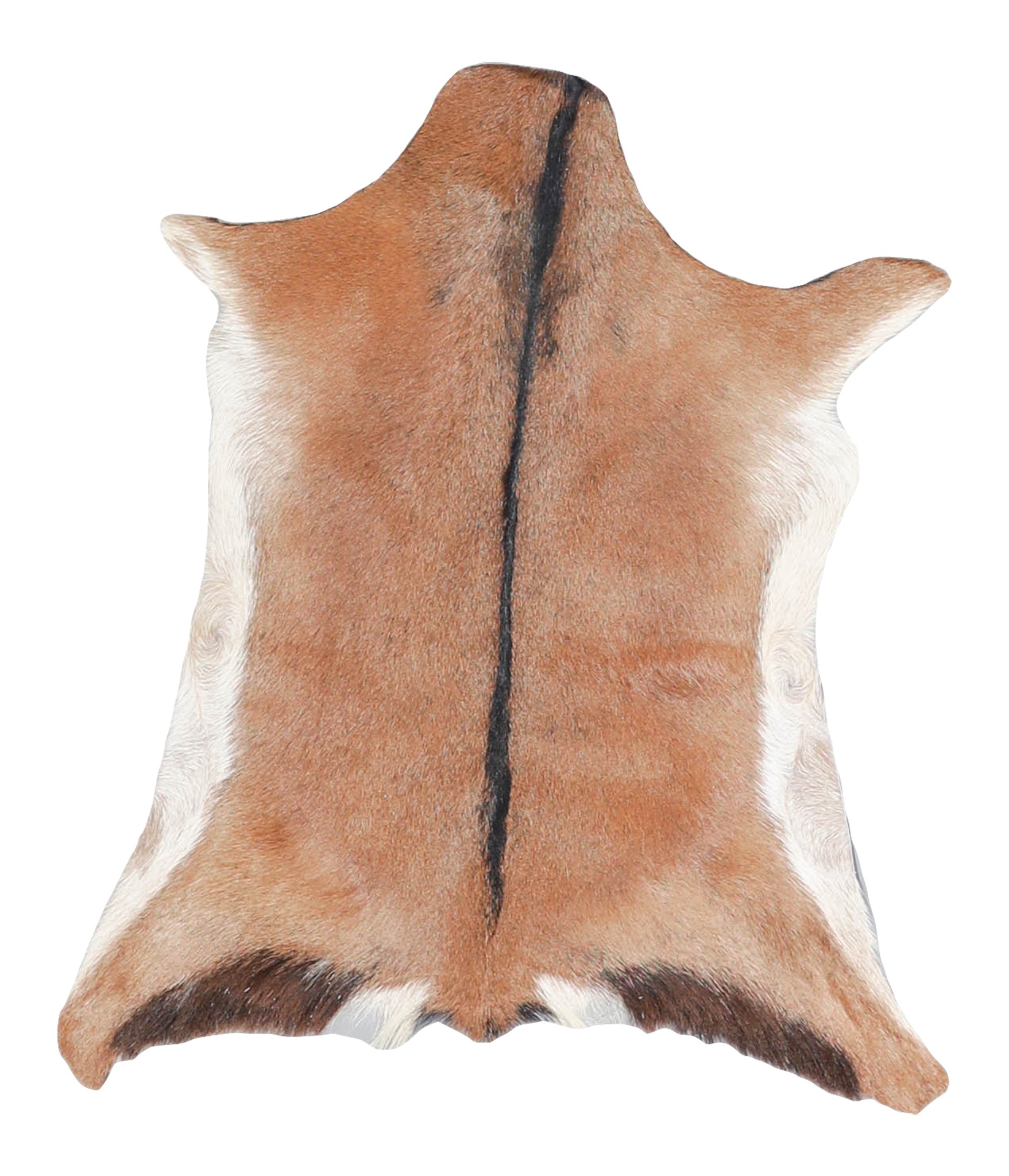 Goatskin #A28180