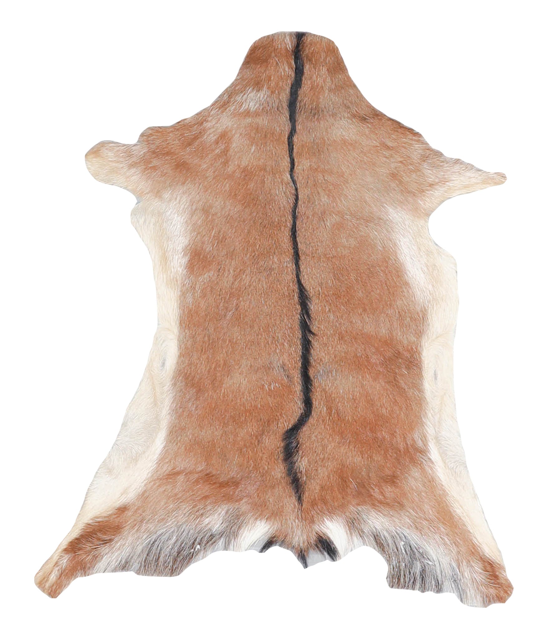 Goatskin #A28181