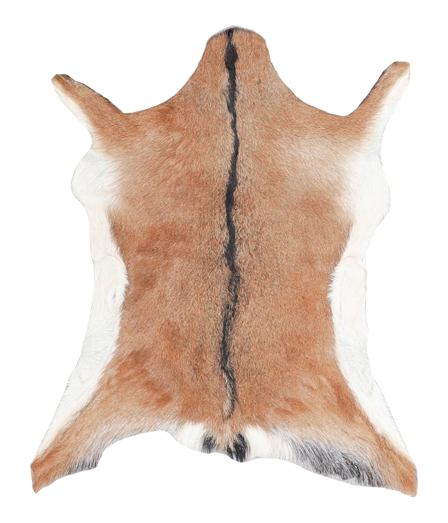 Goatskin #A28182