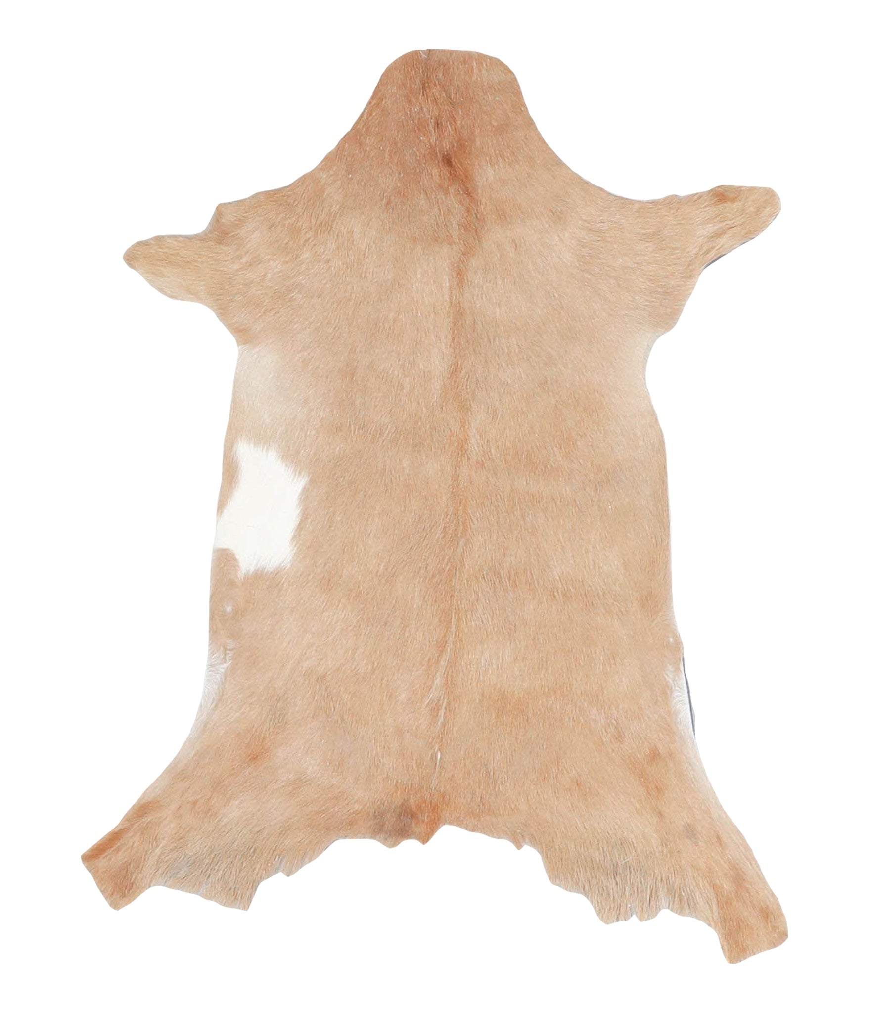 Goatskin #A28190