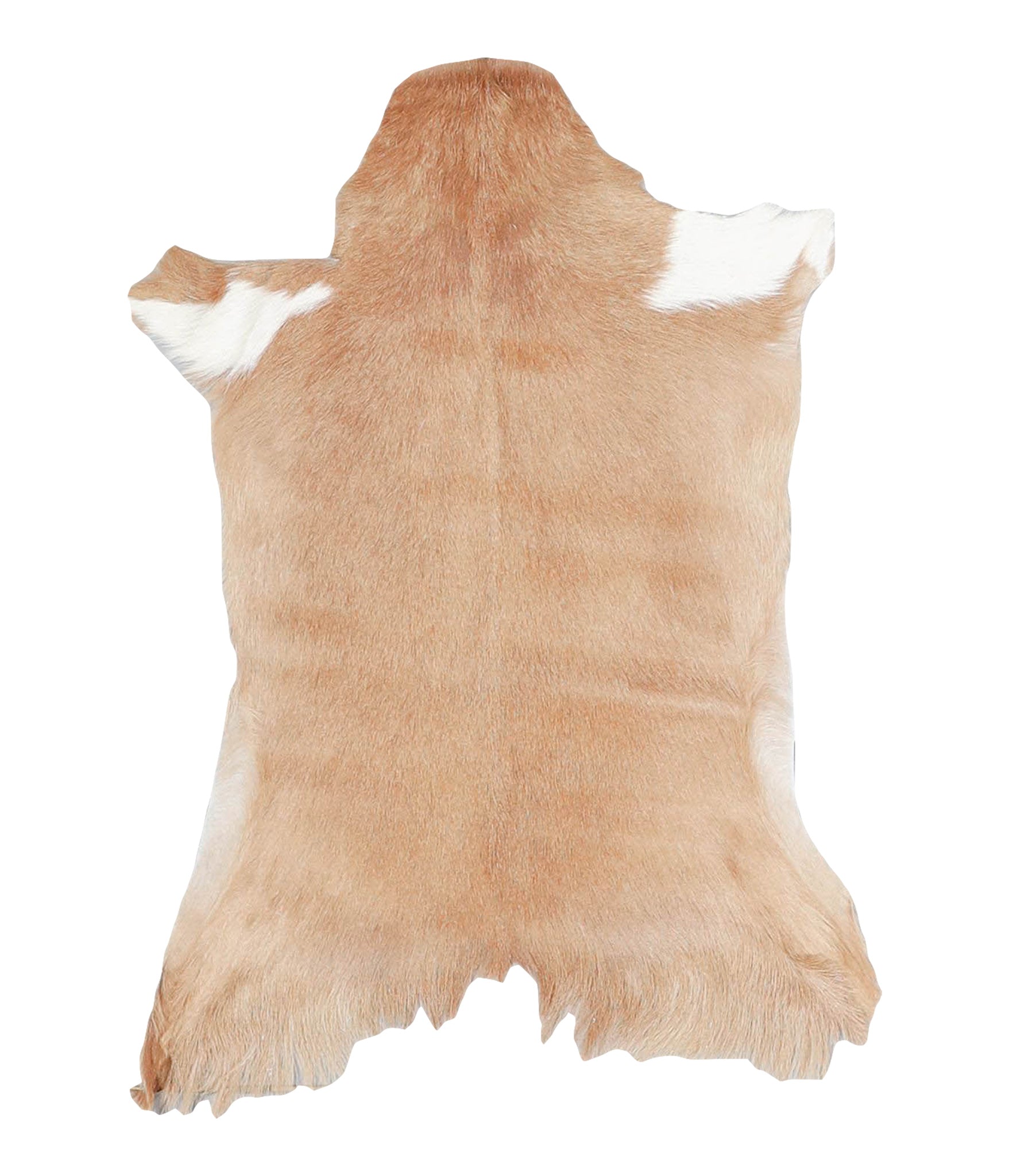 Goatskin #A28191