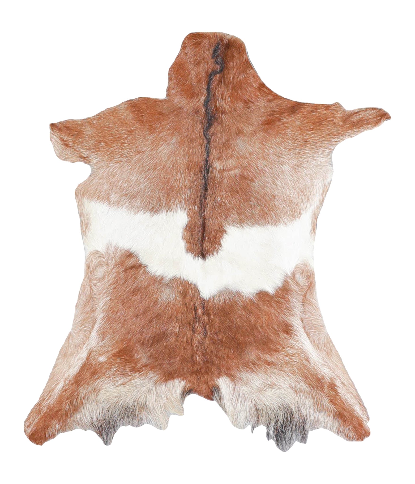 Goatskin #A28254