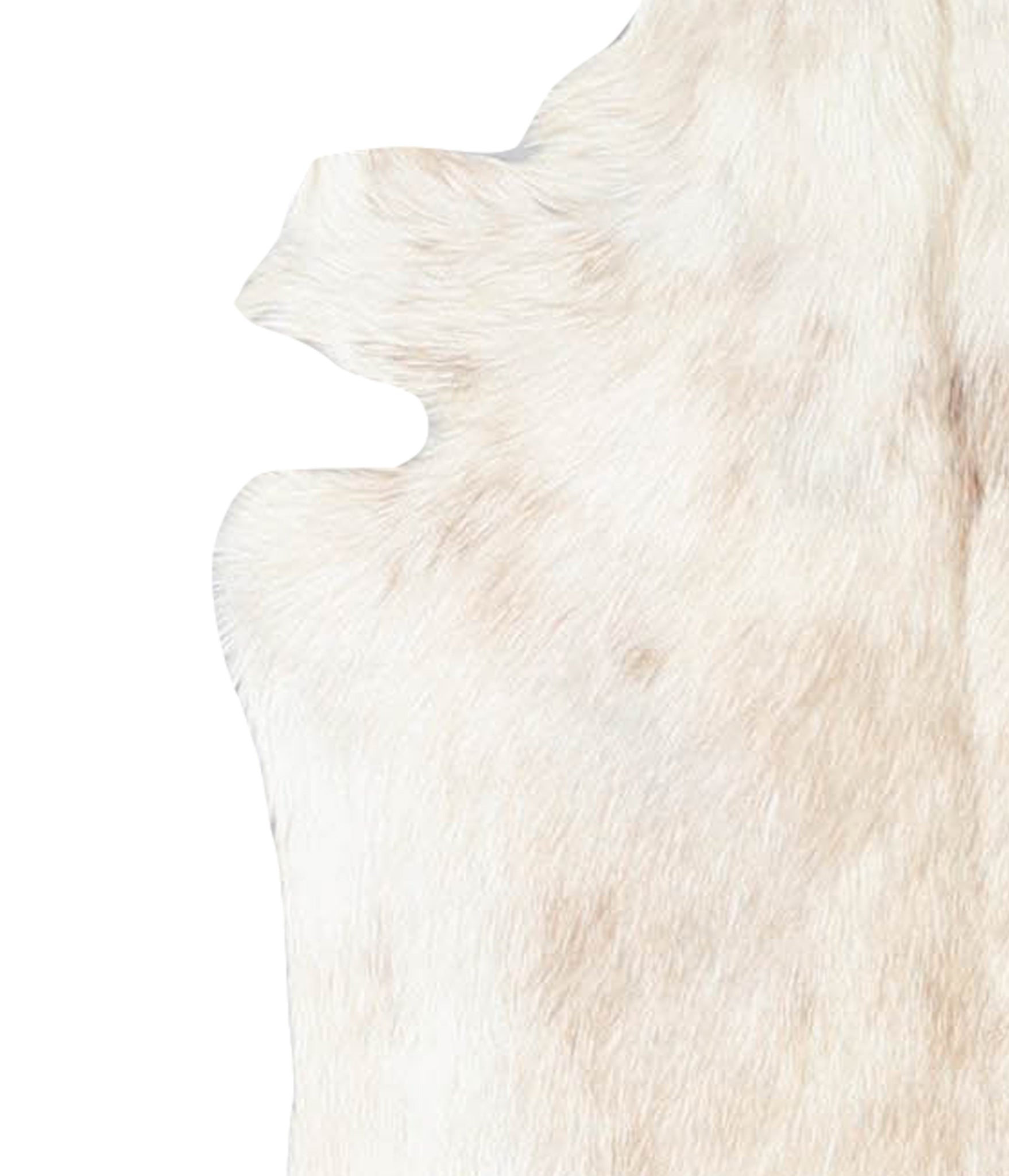 Goatskin #A28255