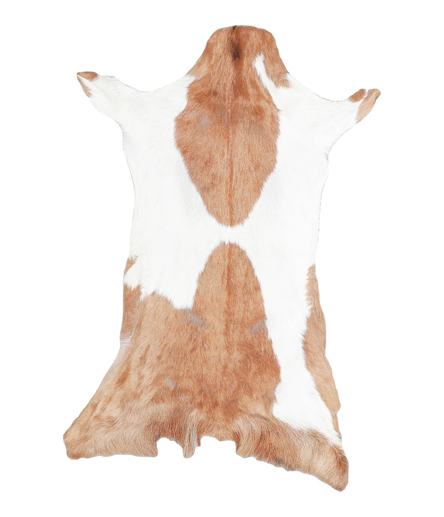 Goatskin #A28268