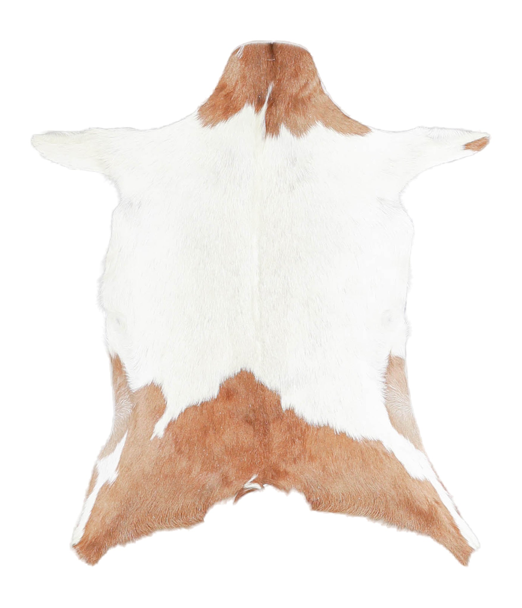 Goatskin #A28269