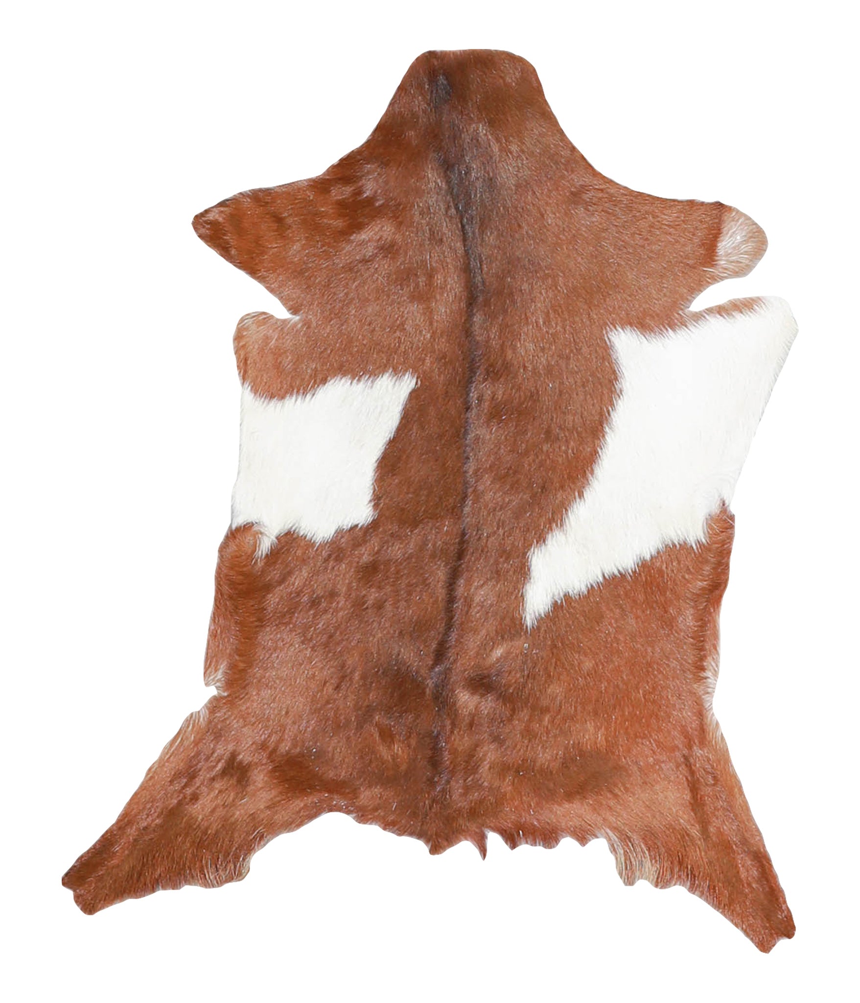 Goatskin #A28291