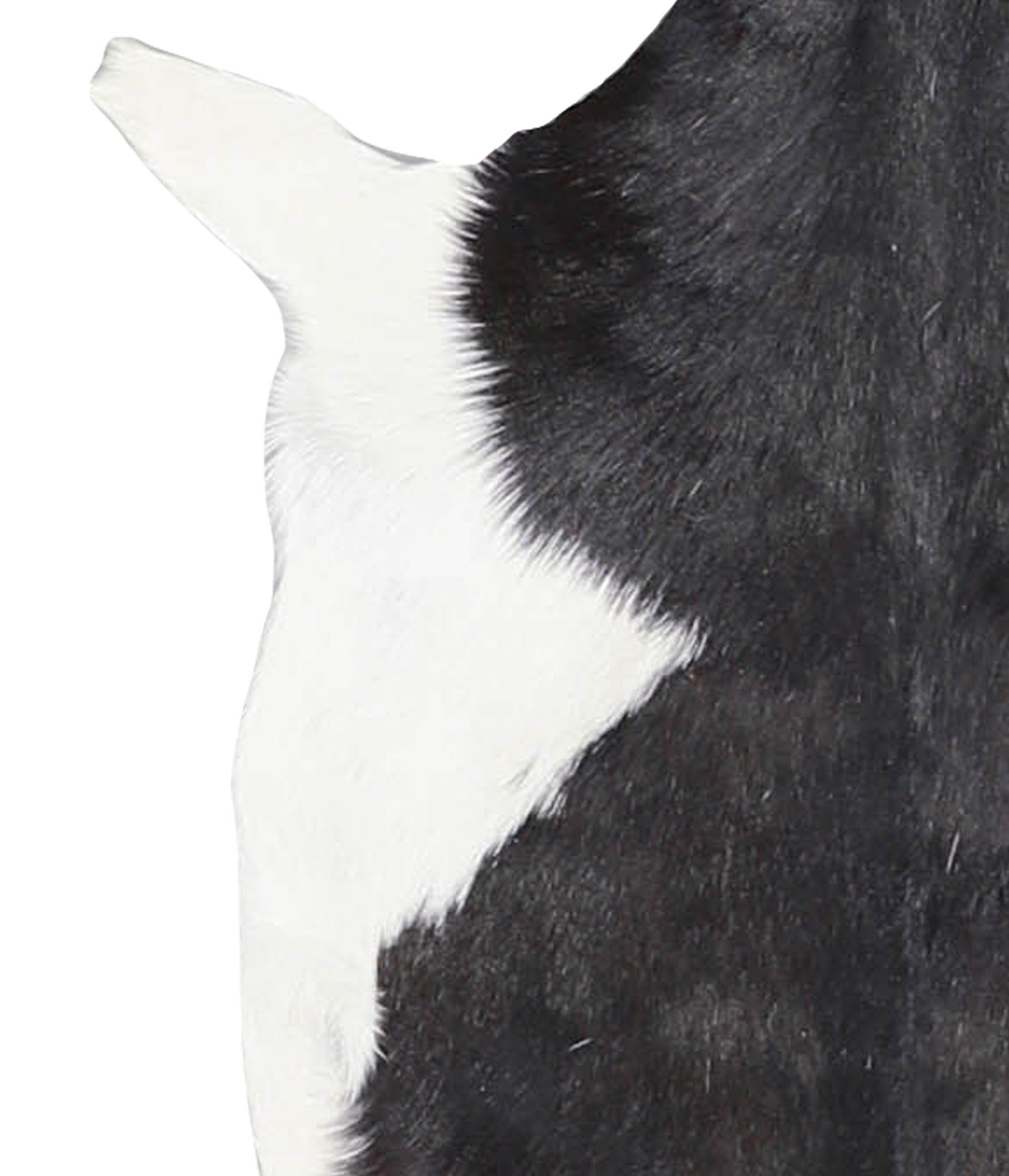 Goatskin #A28339