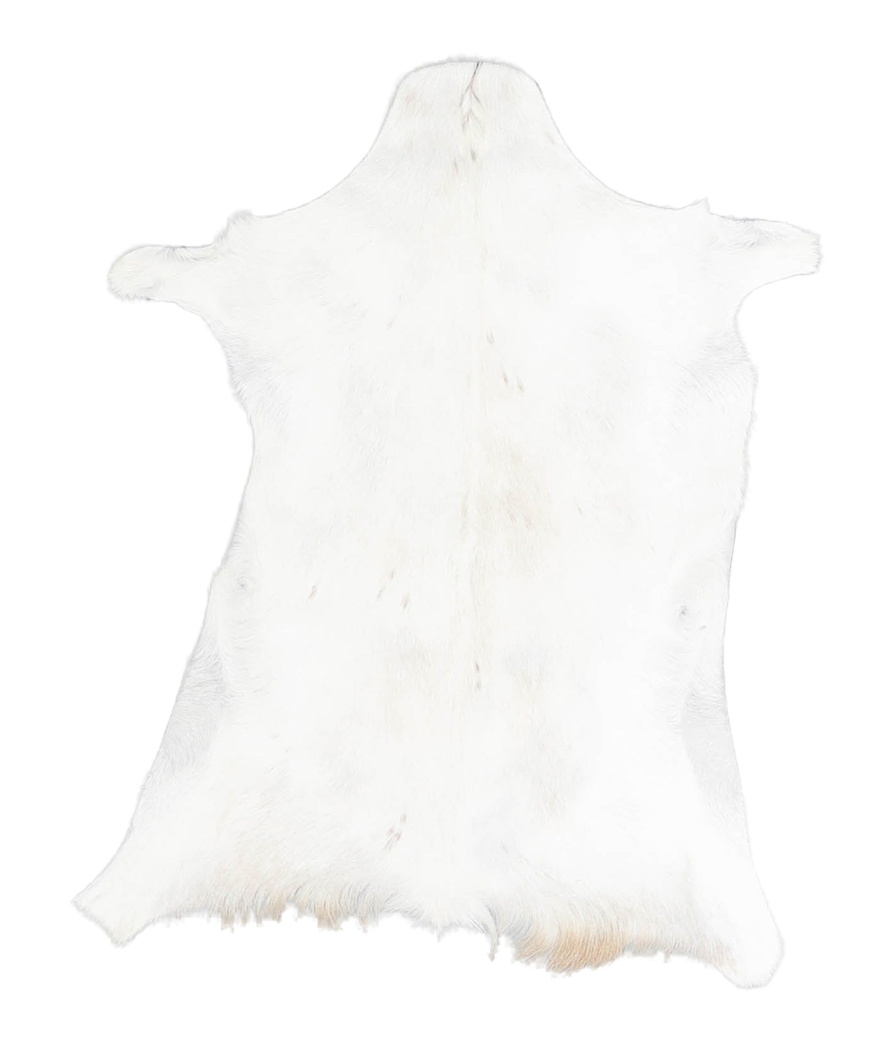 Goatskin #A28347