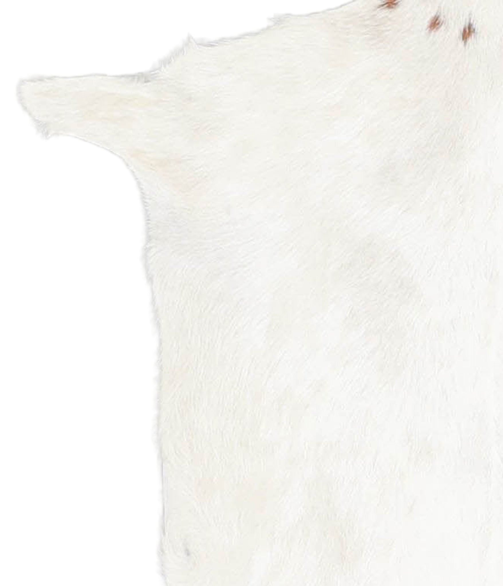 Goatskin #A28350