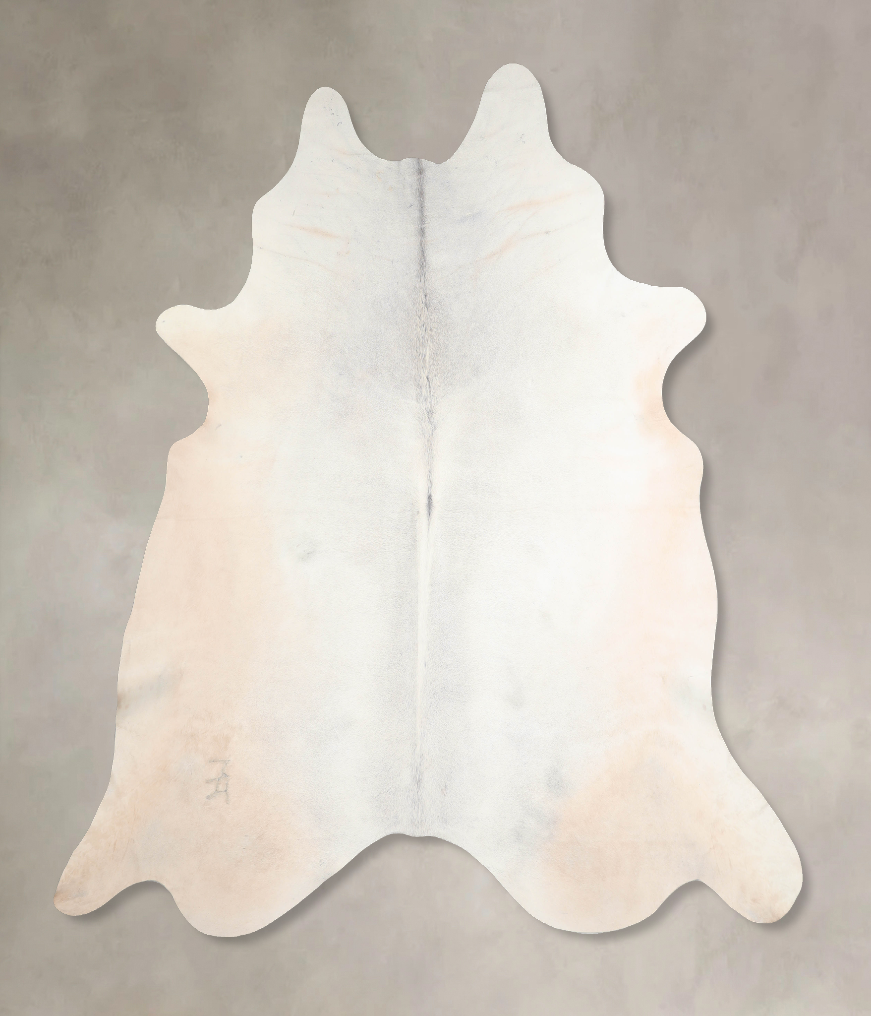 Grey with Beige Cowhide Rug #A30332