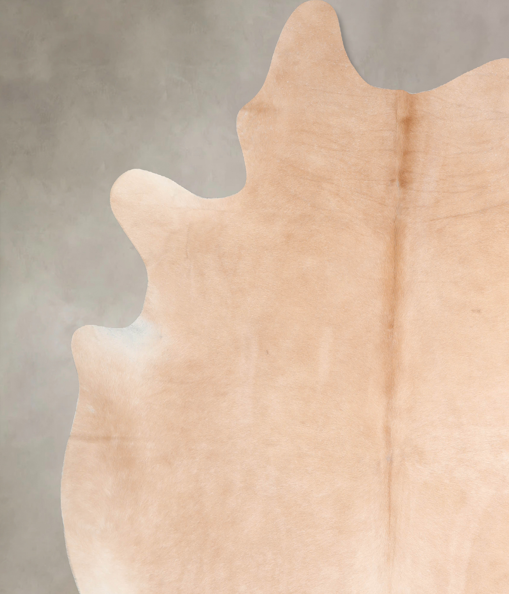 Palomino Cowhide Rug #A32636