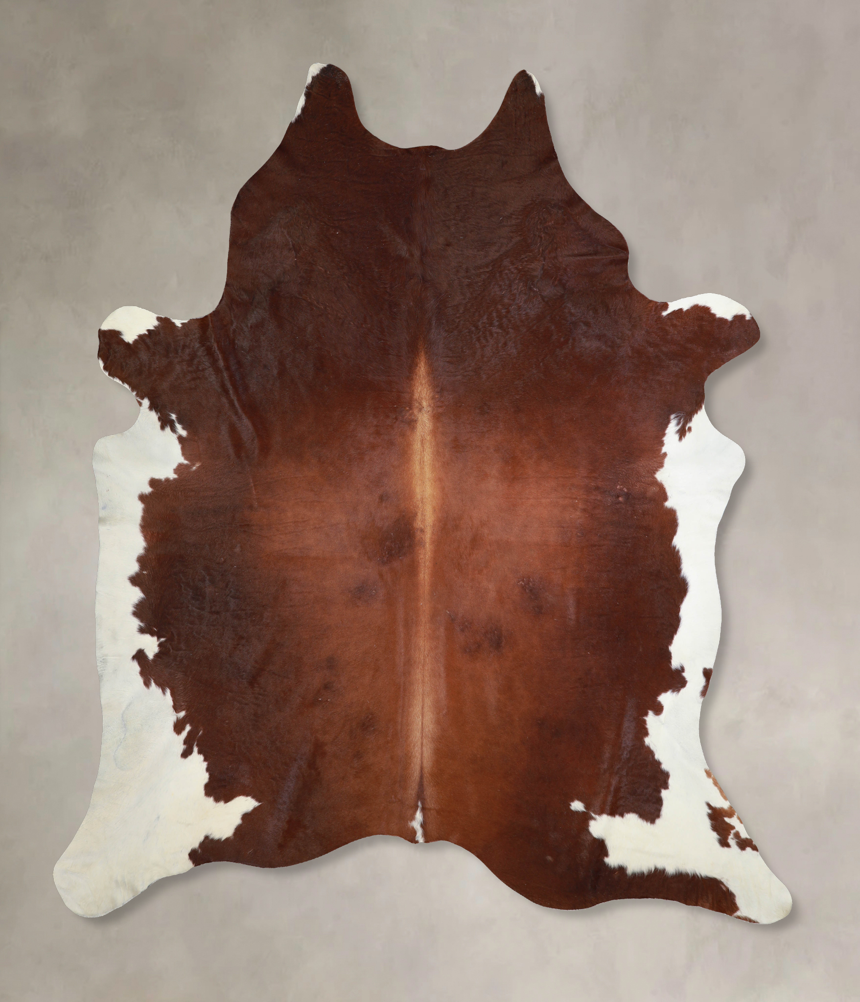 Brown and White Regular Cowhide Rug #A32913