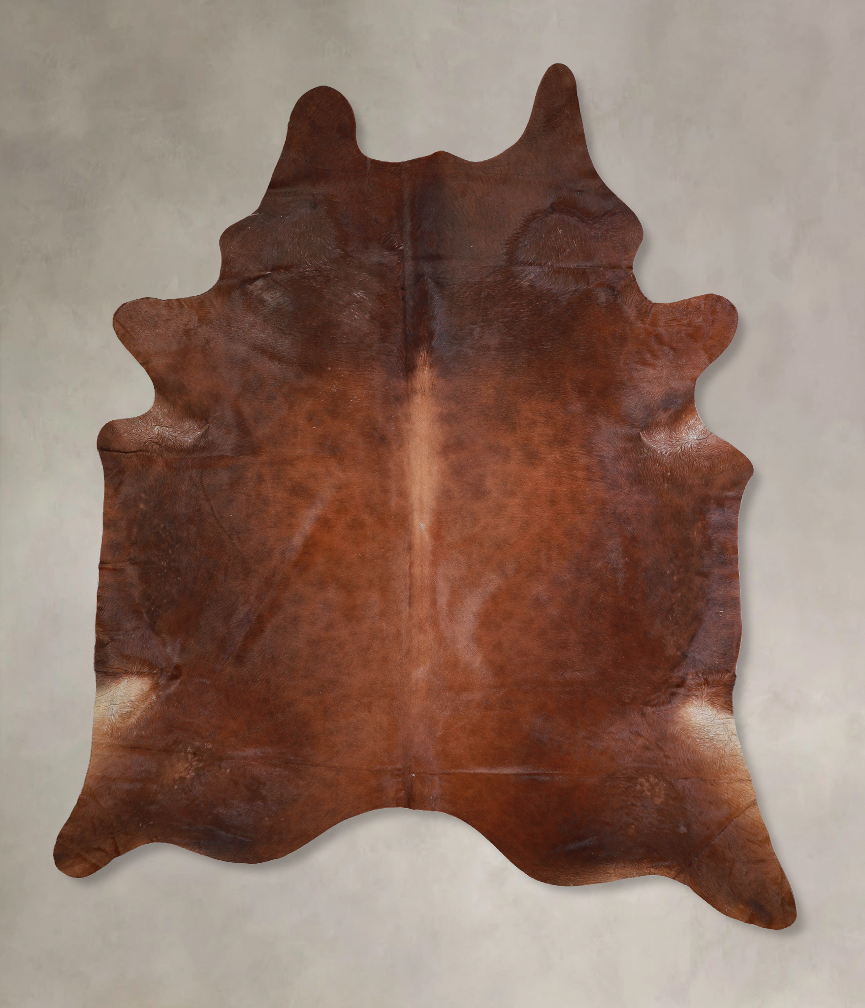 Solid Brown Cowhide Rug #A32937