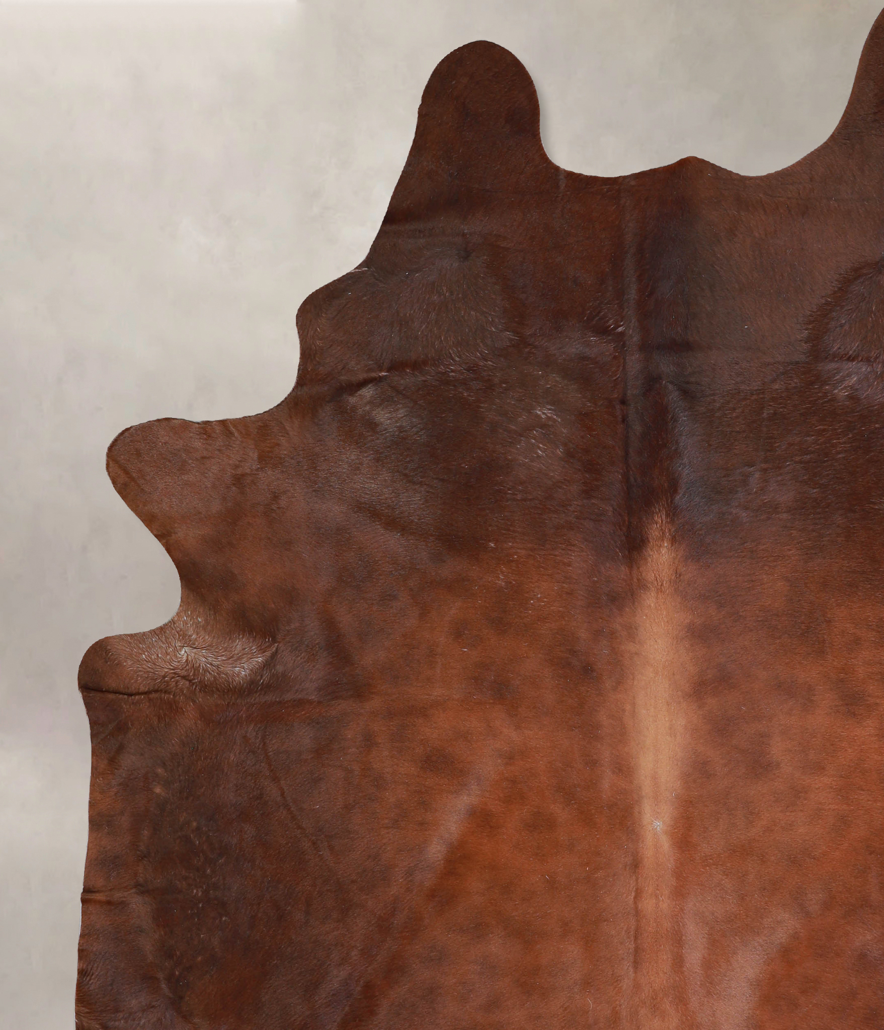 Solid Brown Cowhide Rug #A32937