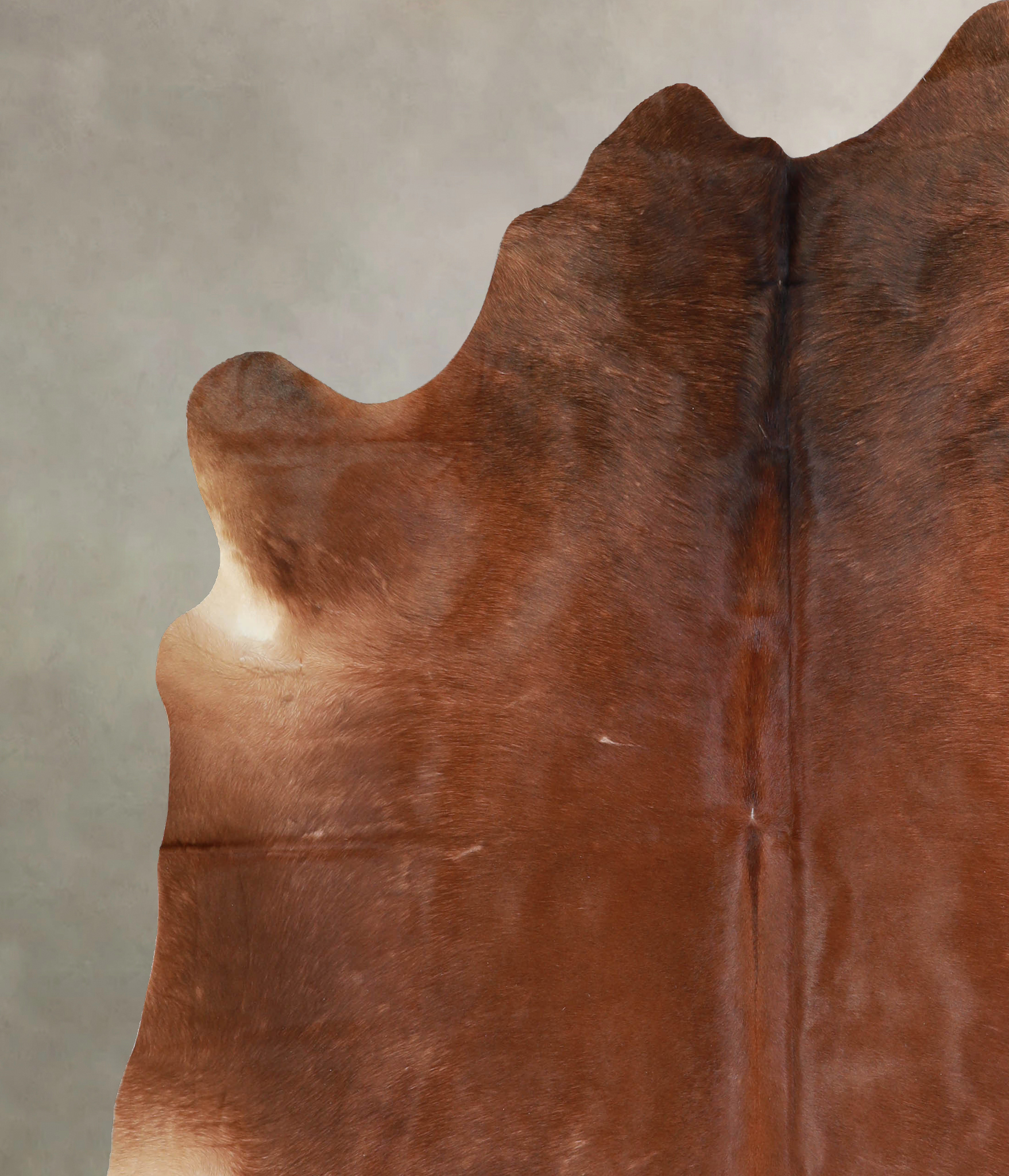 Solid Brown Cowhide Rug #A32969