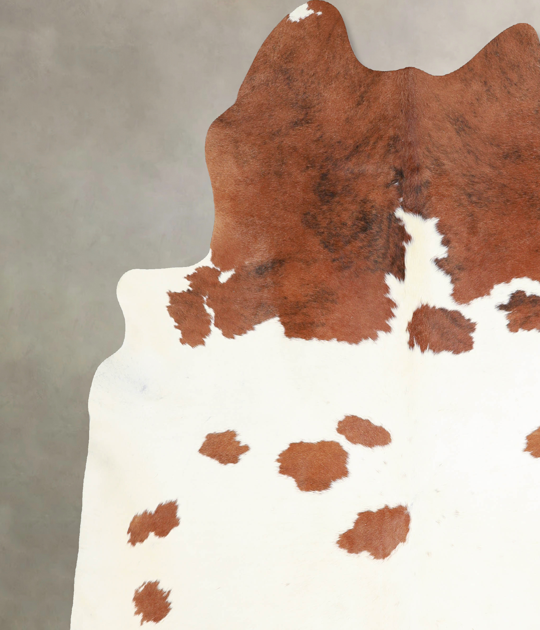 Brown and White Cowhide Rug #A32991