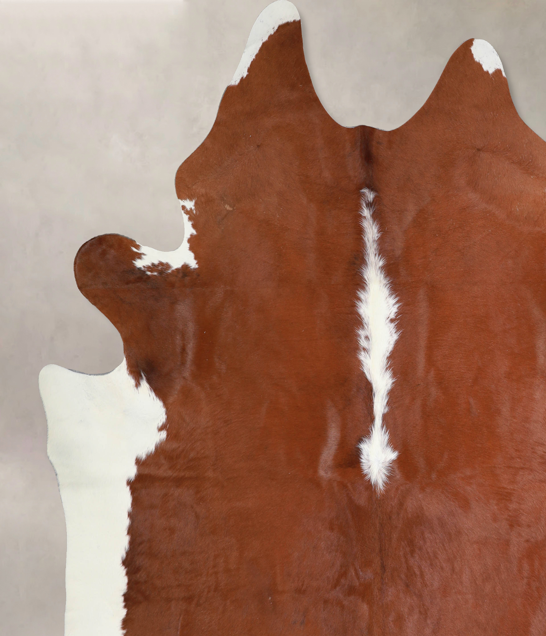 Brown and White Regular Cowhide Rug #A33091