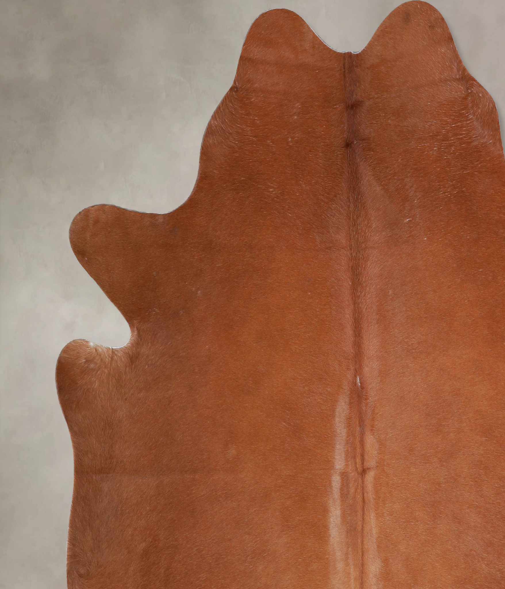 Solid Brown Cowhide Rug #A33436