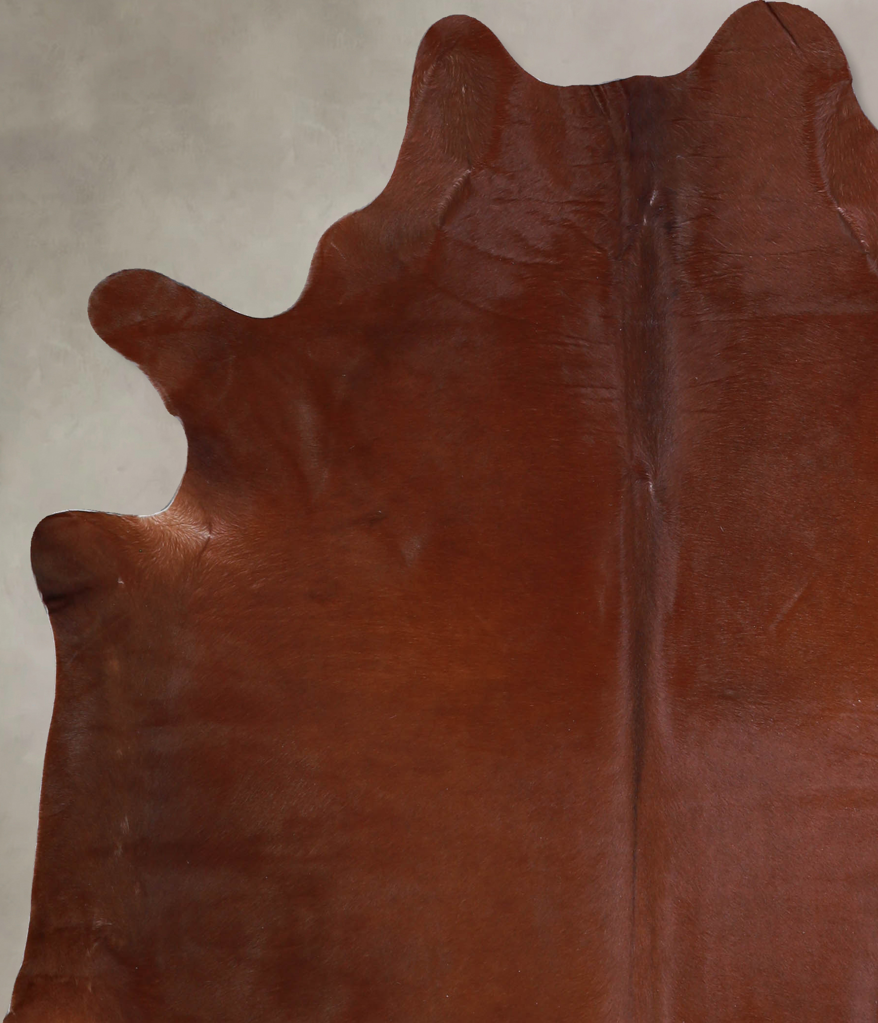 Solid Brown Cowhide Rug #A33495