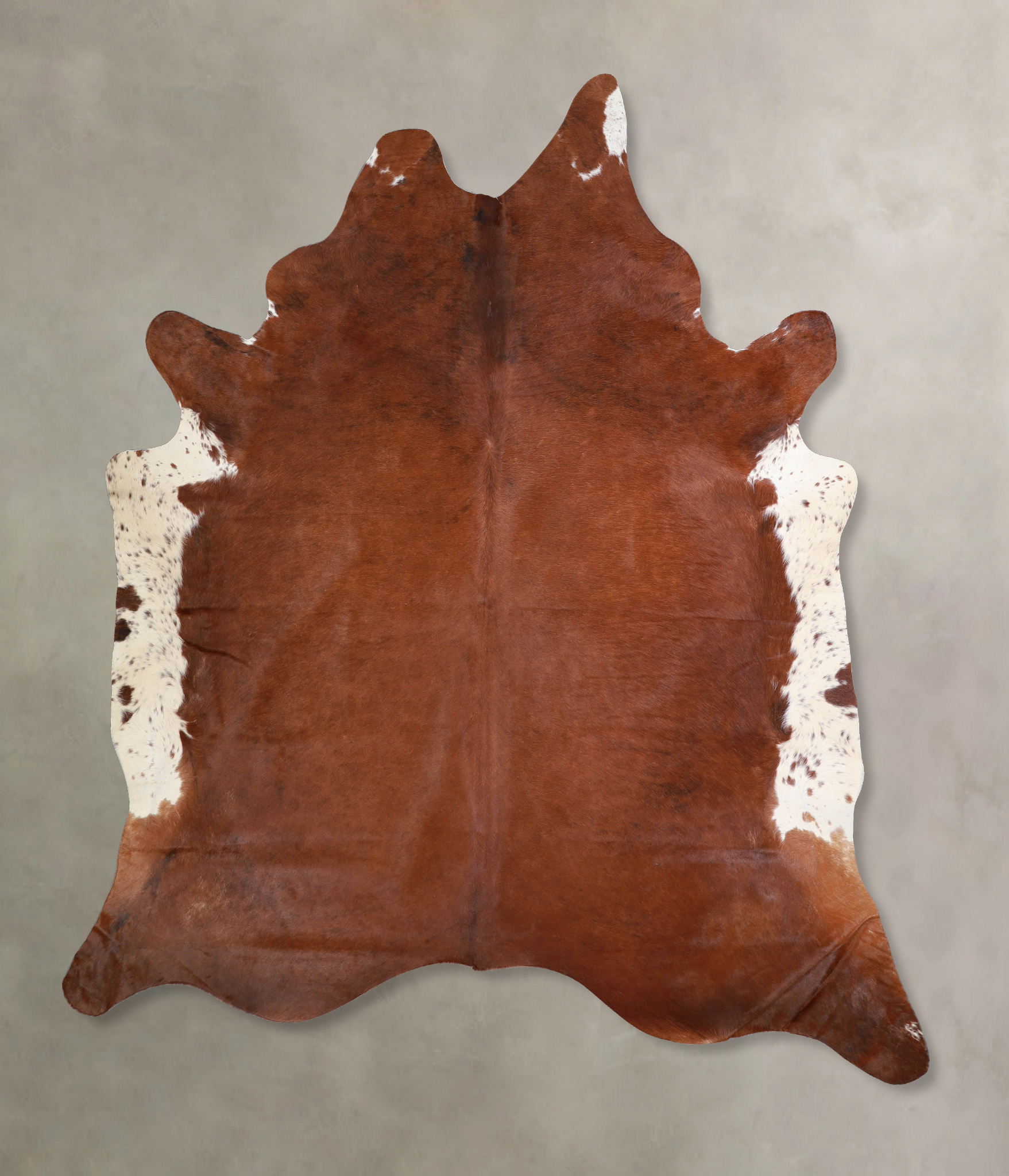 Brown and White Regular Cowhide Rug #A33621