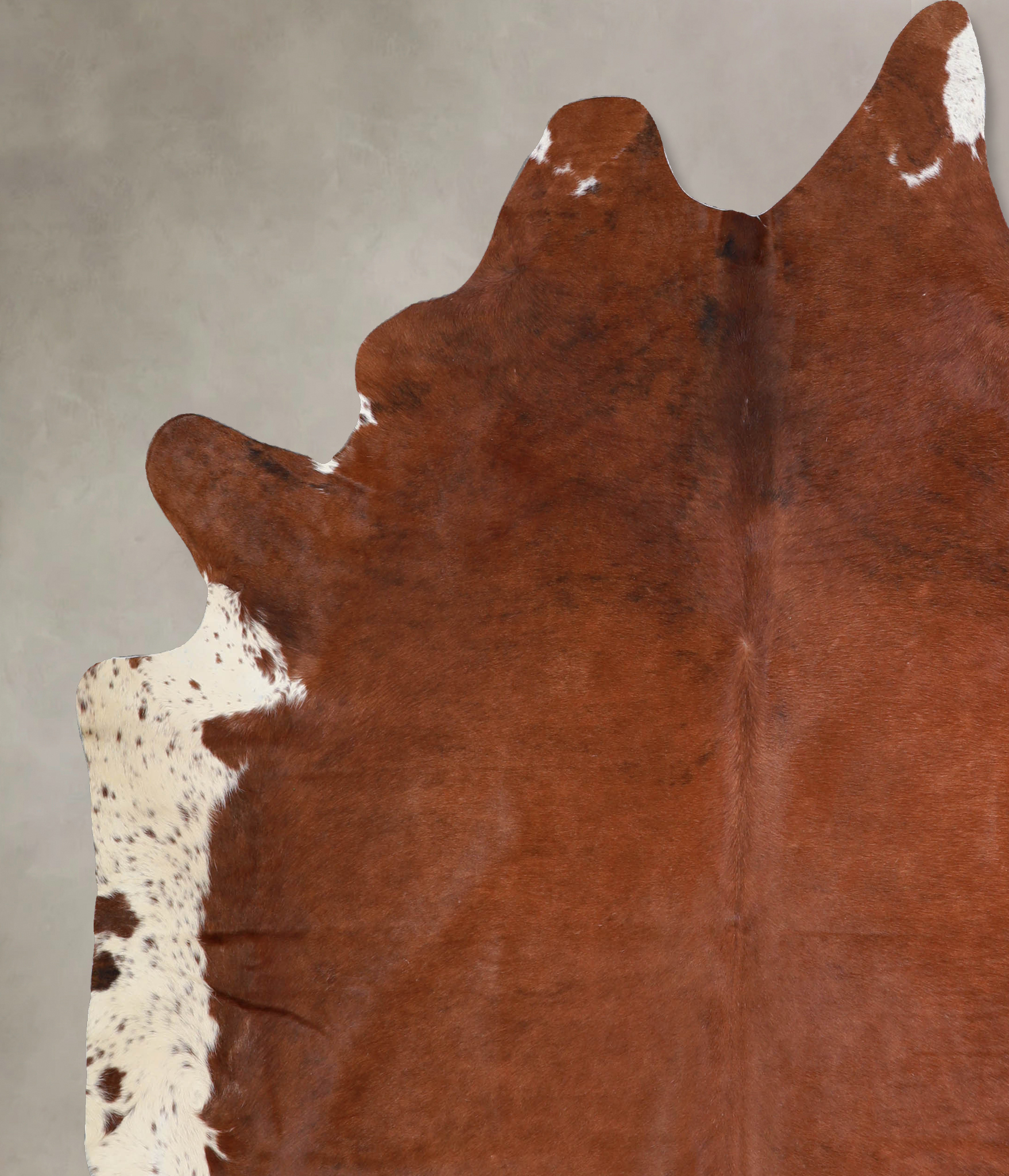 Brown and White Regular Cowhide Rug #A33621