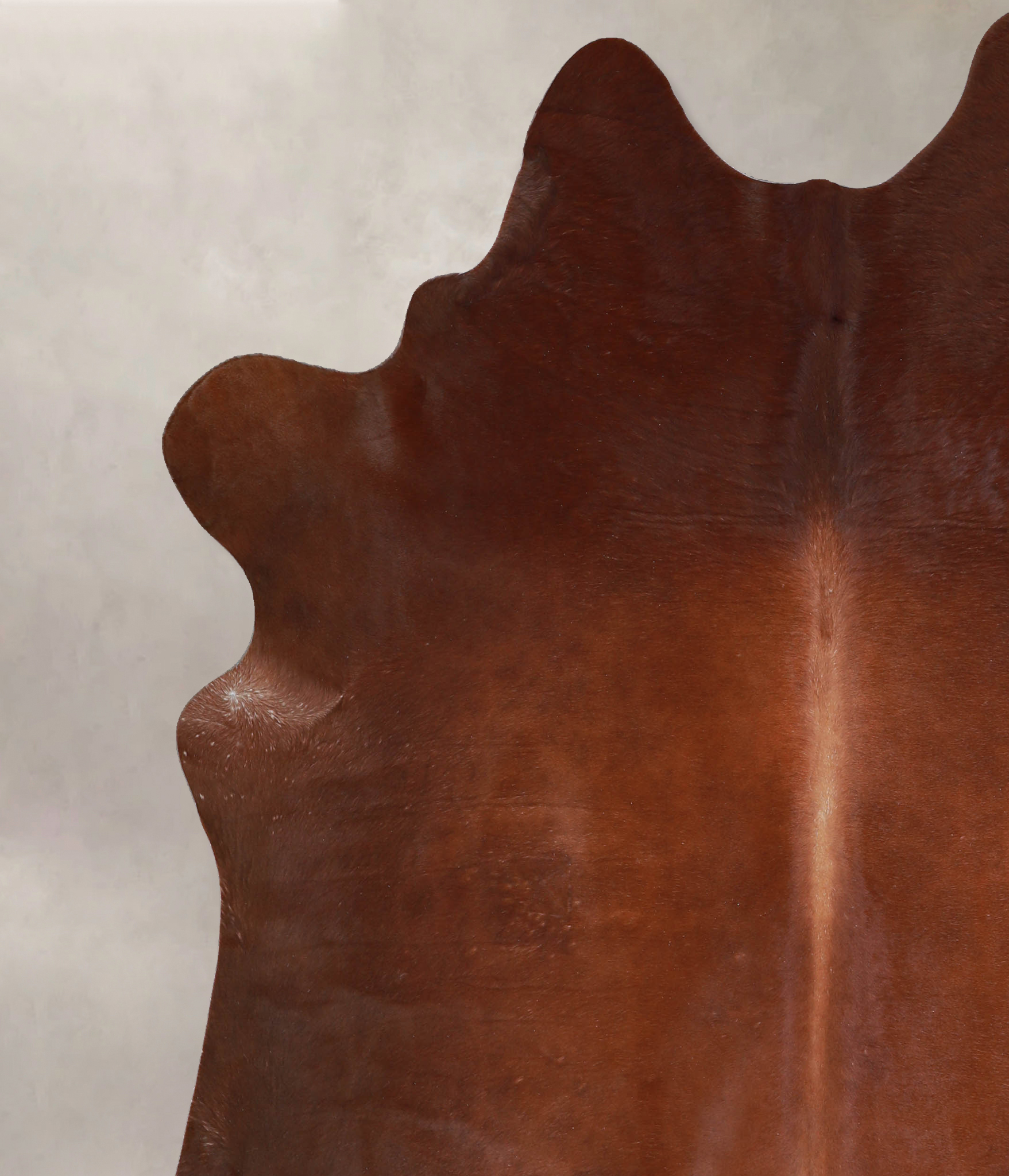 Solid Brown Cowhide Rug #A33921