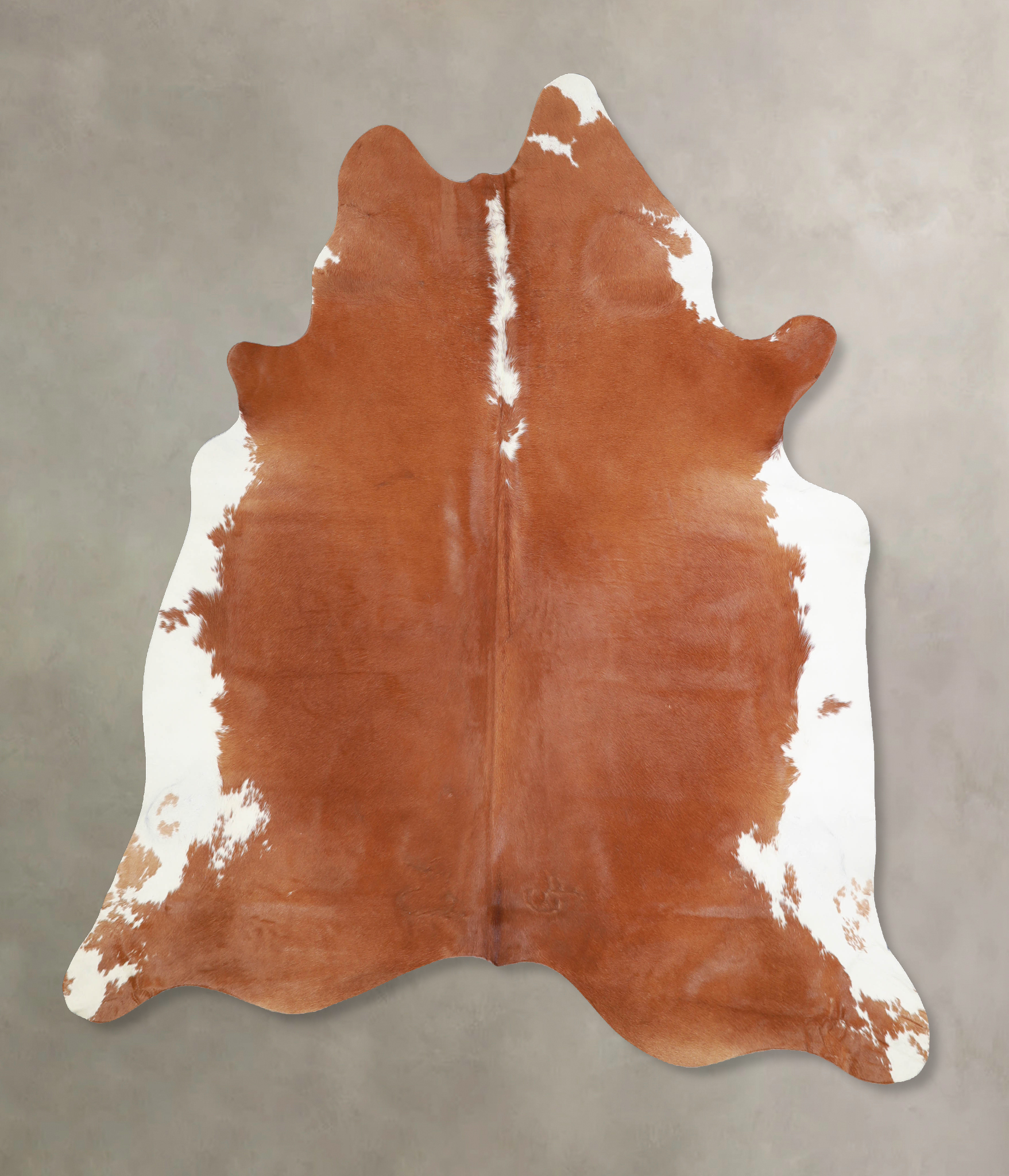 Brown and White Regular Cowhide Rug #A33939