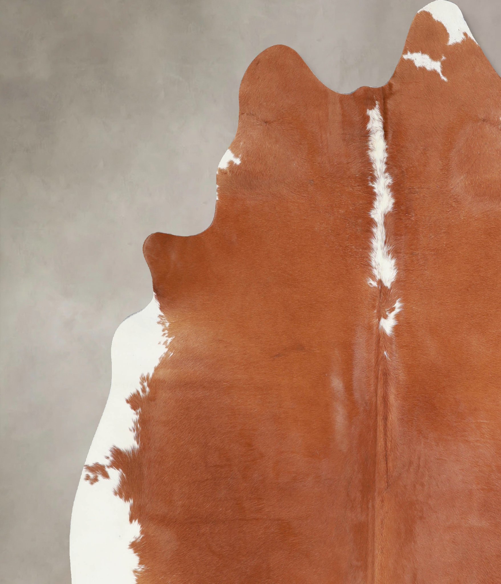 Brown and White Regular Cowhide Rug #A33939